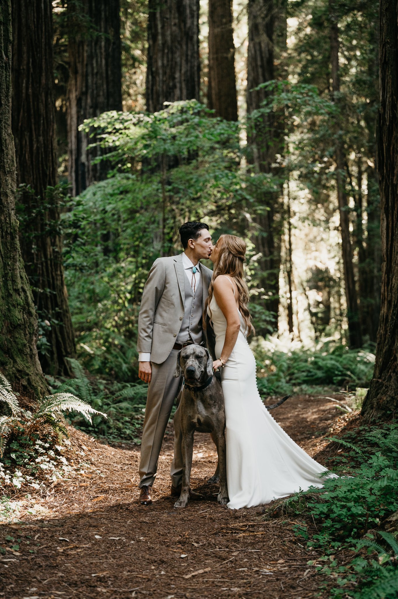 Bride and groom in wedding attire kissing among the tall redwoods in Jedediah Redwood State Park