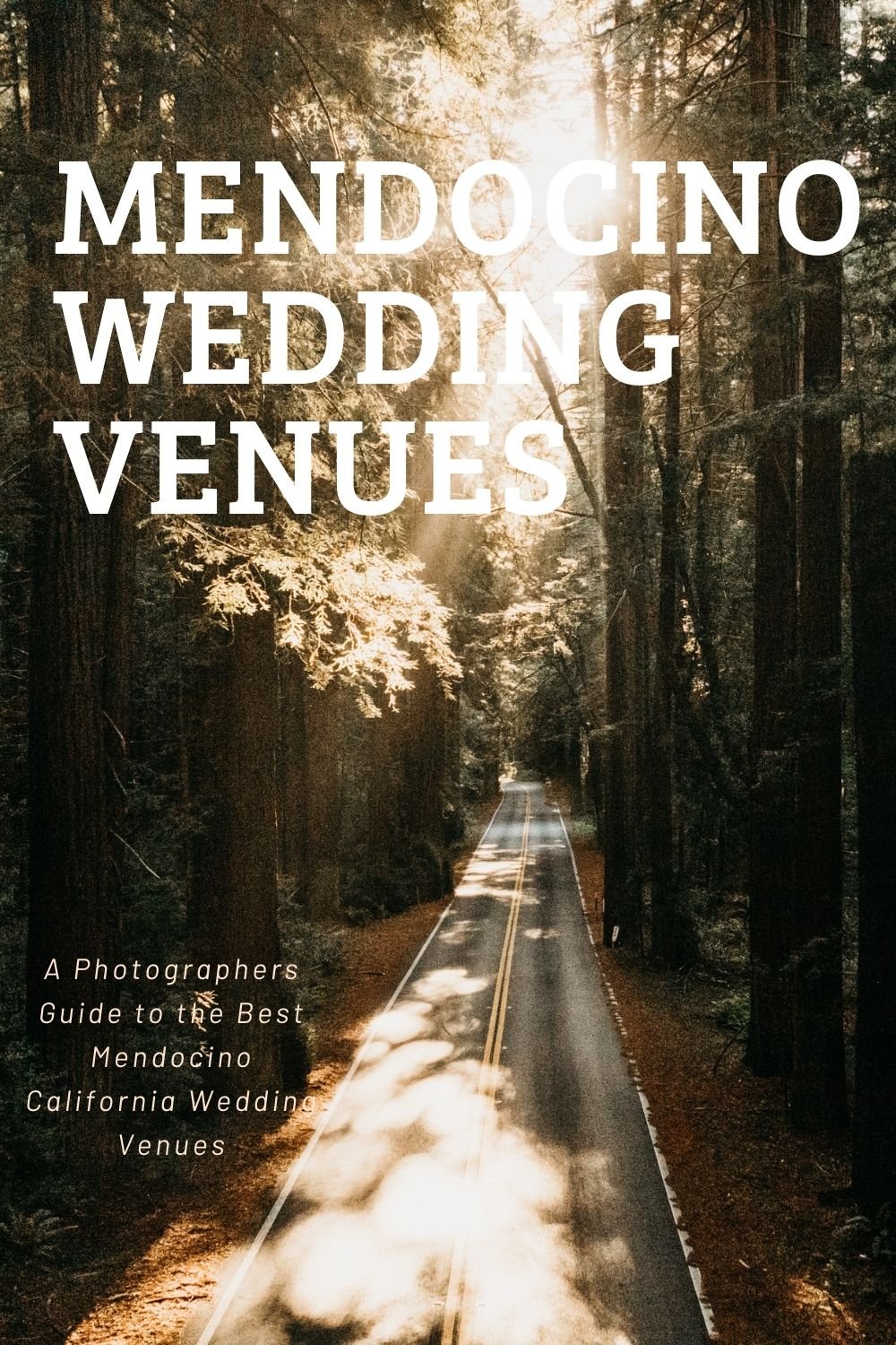 The Best Mendocino wedding guide .jpg
