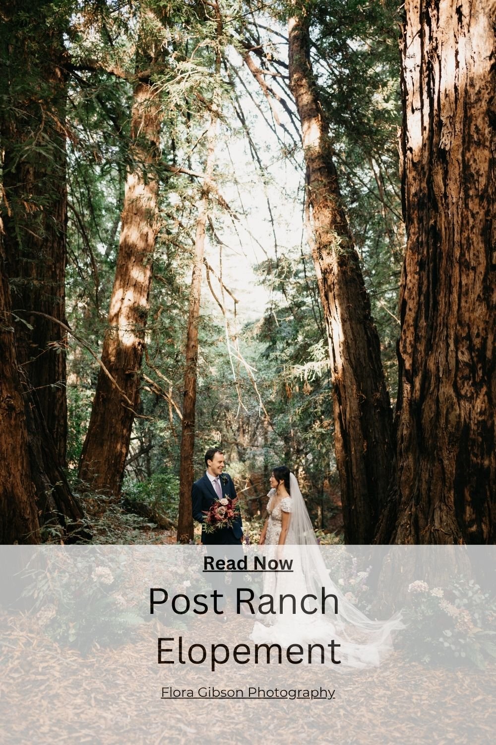 Post Ranch Forest Elopement.jpg