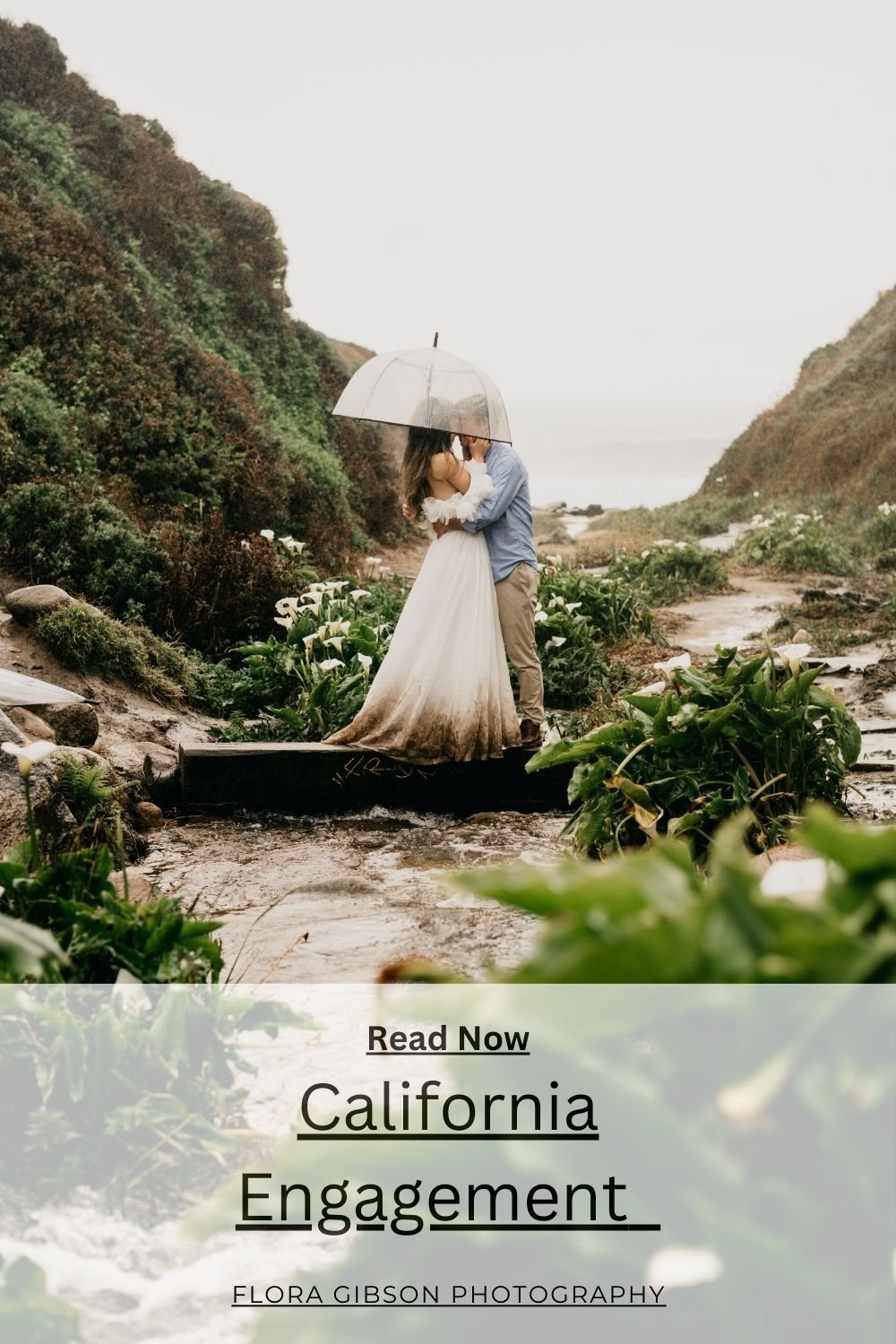 California Engagement.jpg