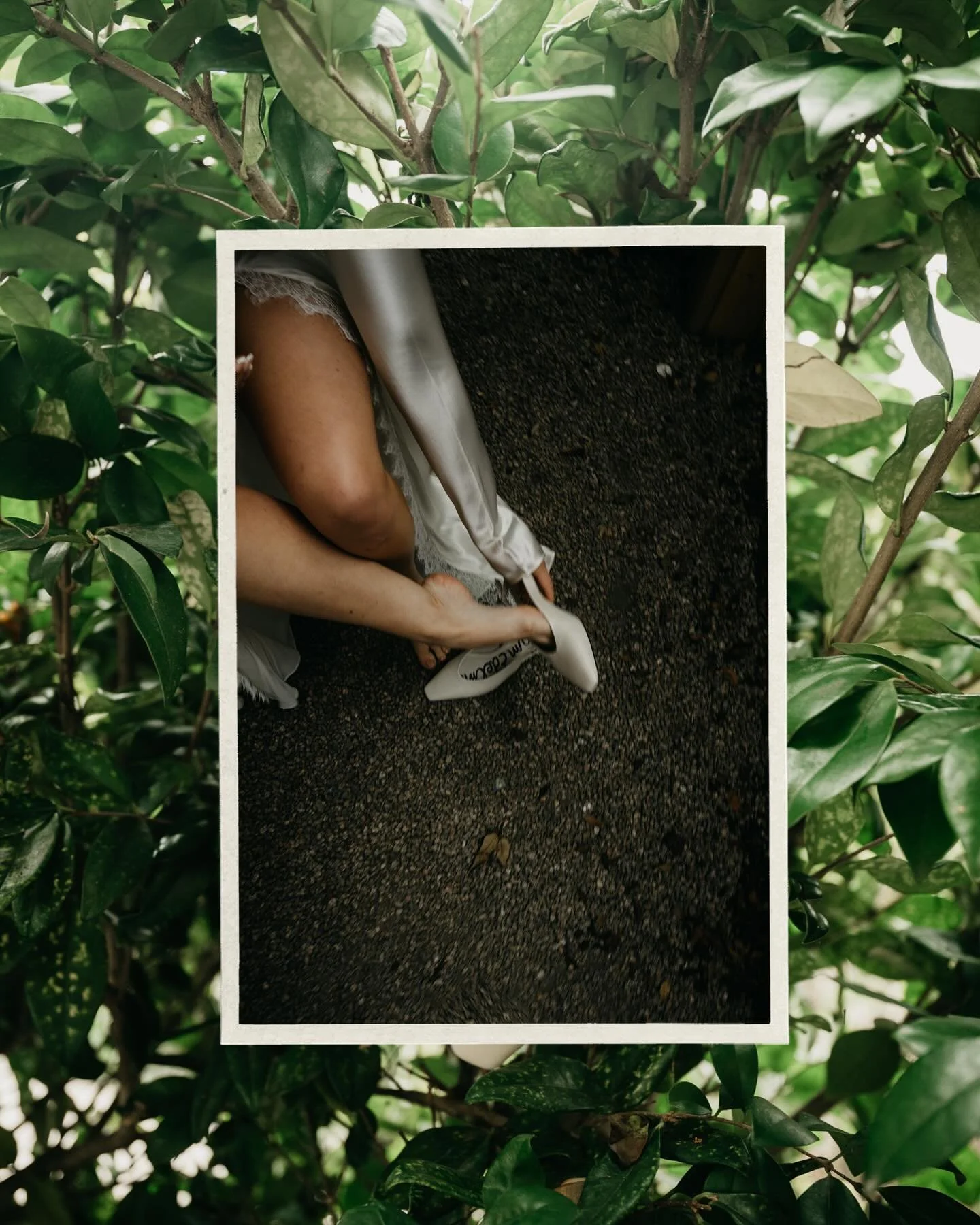 G+N your gallery is up!!

#californiaelopementphotographer #oregonelopement #mendocinowedding #mendocinocoast #mendocinoelopement #sfbride #sfwedding #sfelopementphotographer #dirtybootsandmessyhair #junebugweddings #brides