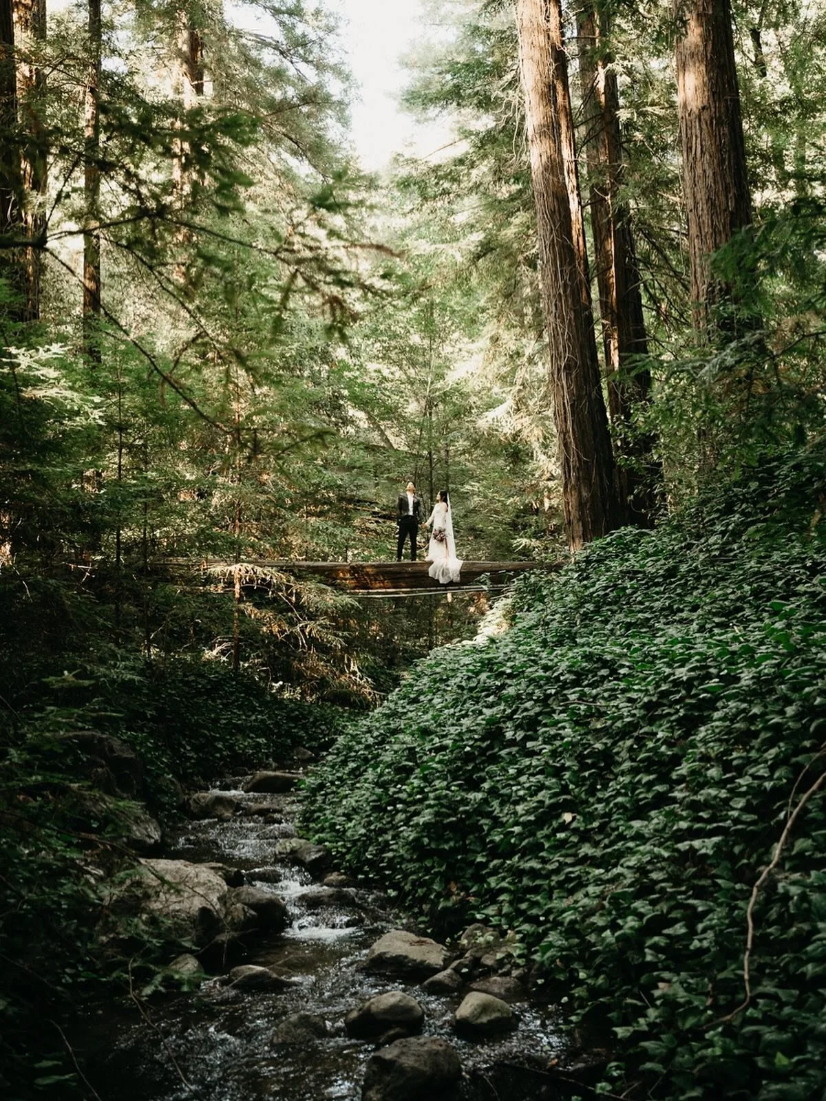 R +L check your mail! 

#bigsurwedding #californiaredwoods #oregonredwoods #redwoodwedding #forestwedding