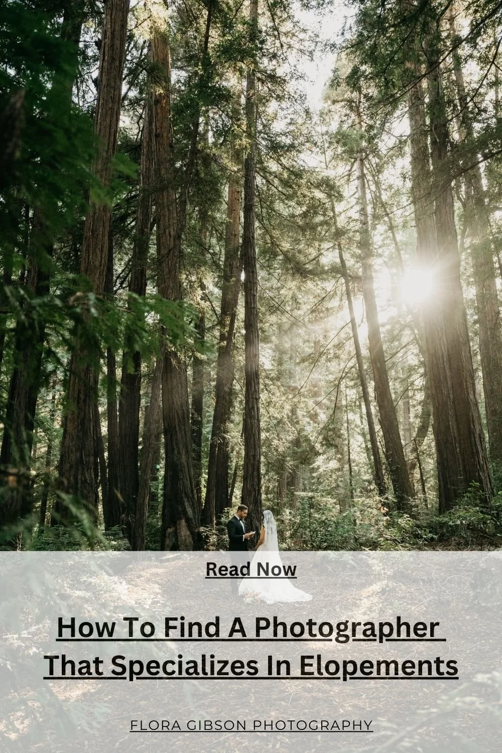 Photographer that specializes in Elopements.jpg