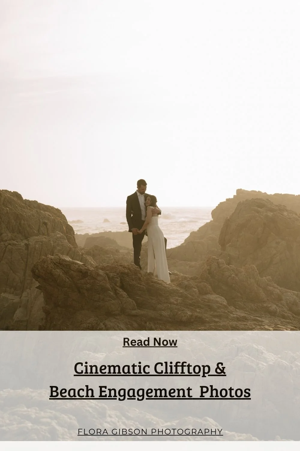California Cliffside Proposal.jpg