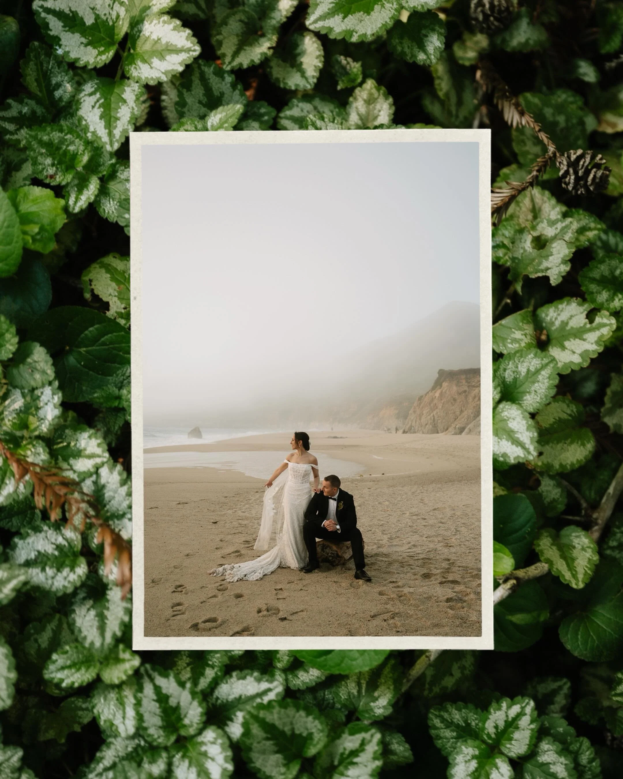 T+G 

Big Sur wedding, Big Sur elopement, California photographer, California wedding photographer, sf bride, sf wedding, sf wedding photographer, California bride . 

#nikon #rfpotd #lookslikefilm