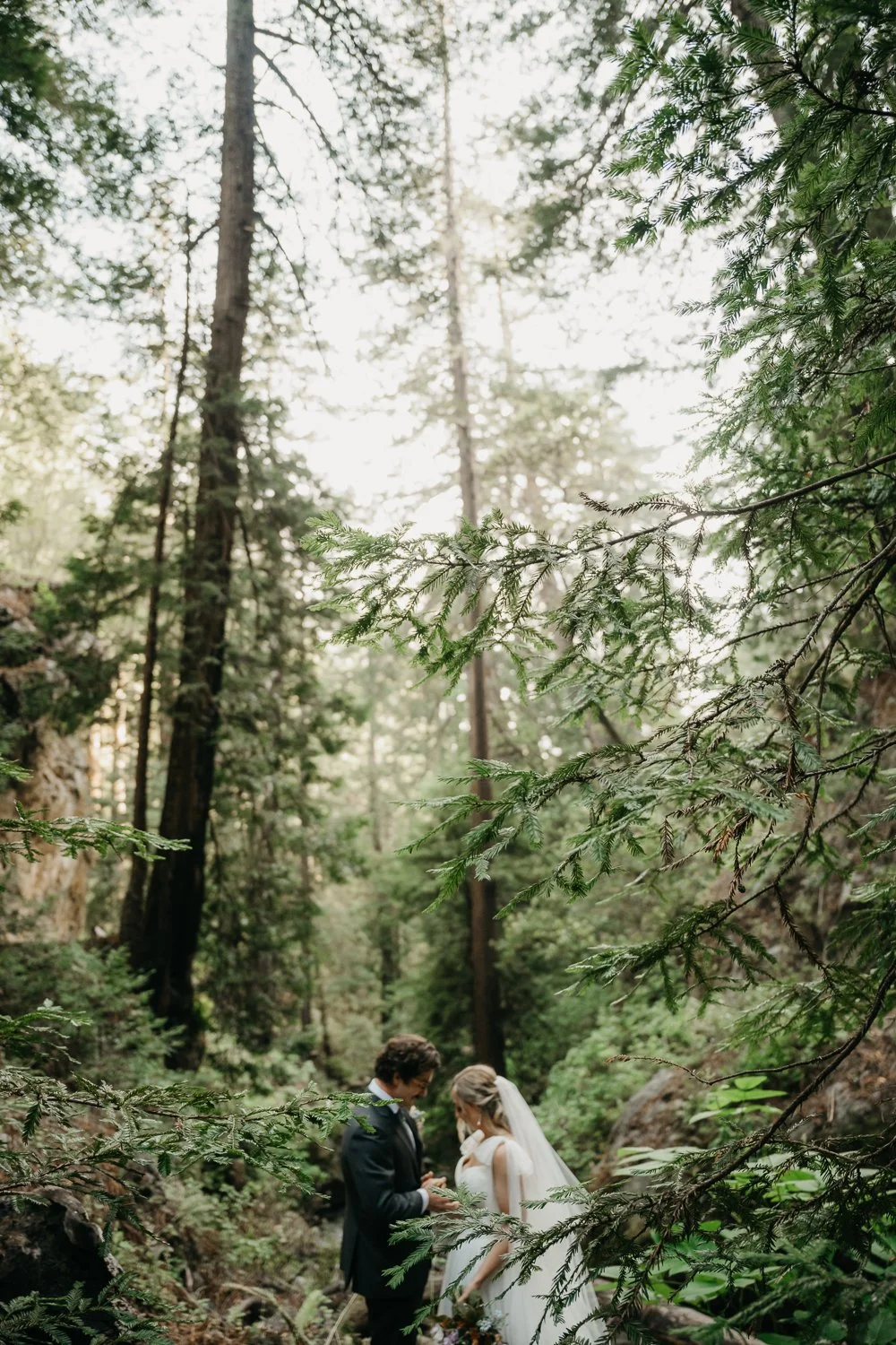Big-Sur-Wedding-Locations-42.jpg