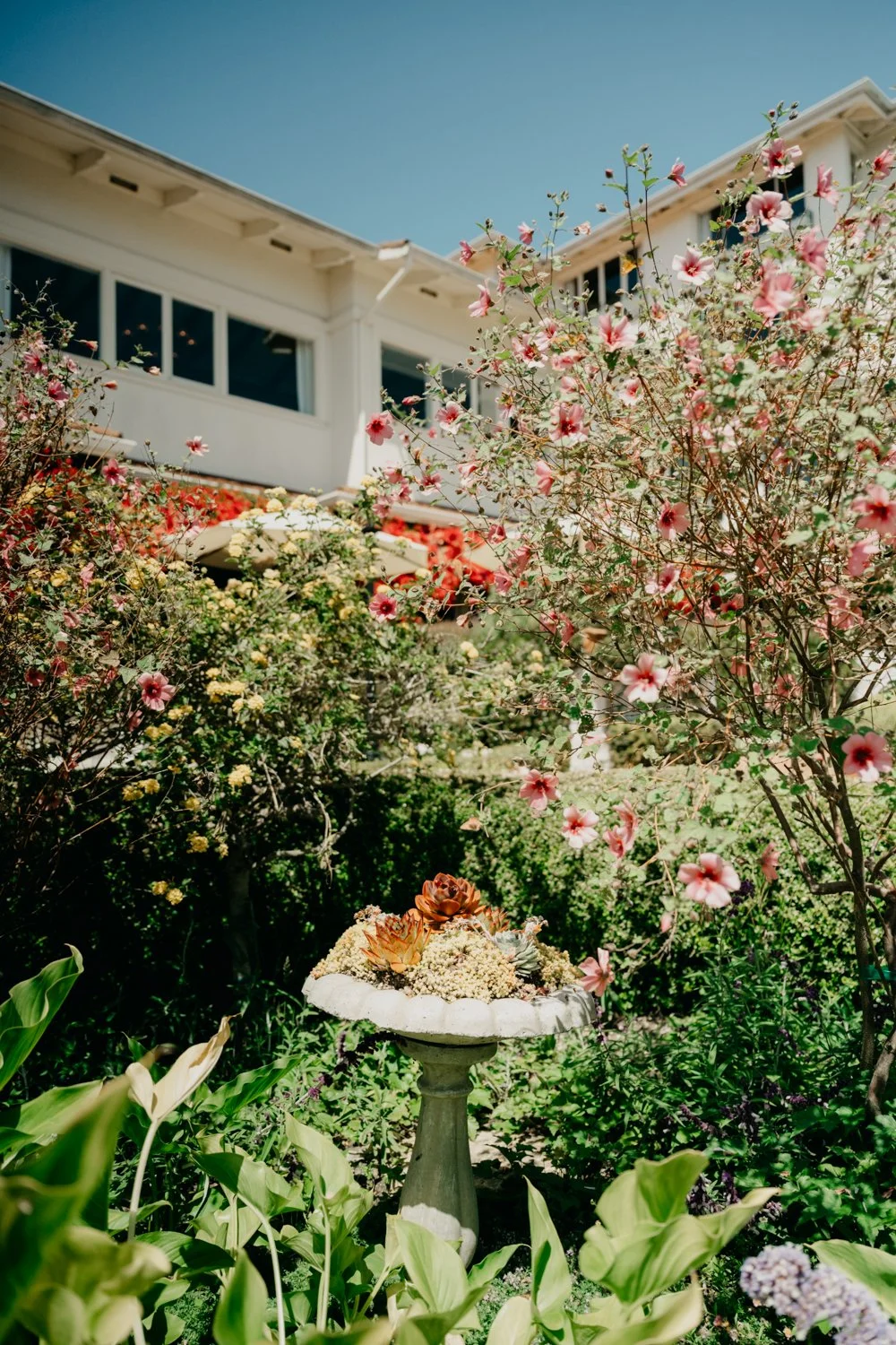 Carmel-wedding-FLORA-GIBSON-PHOTOGRAPHY-WWW.FLORAGIBSON.COM-4.jpg
