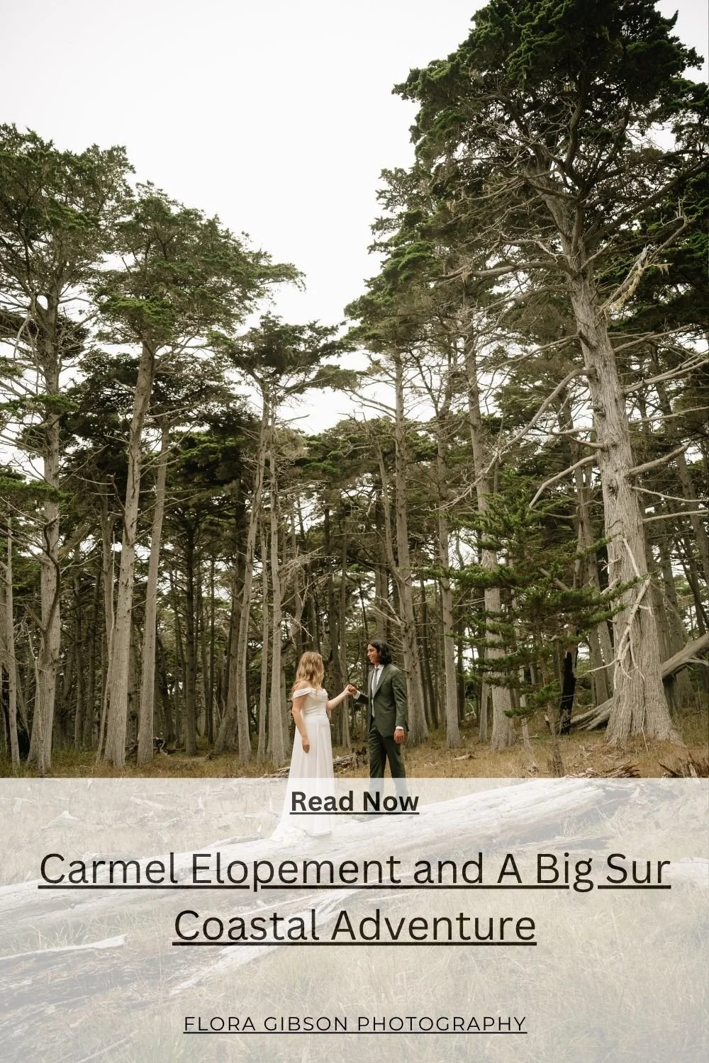 Carmel Adventurous Elopement.jpg