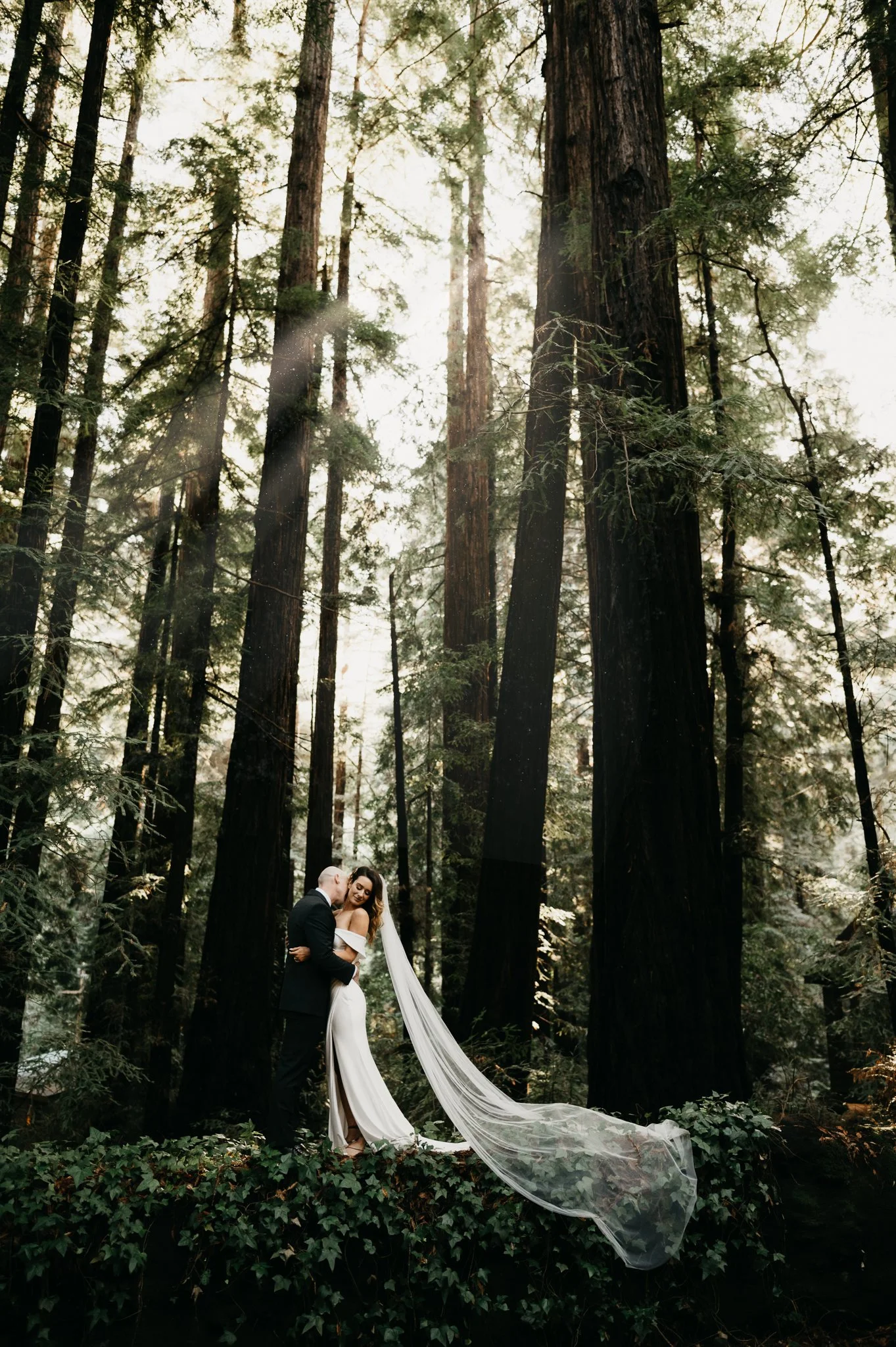 A bride and groom standing close together in a forest with tall trees and fog, the bride wearing a white dress and veil, and the groom in a dark suit.