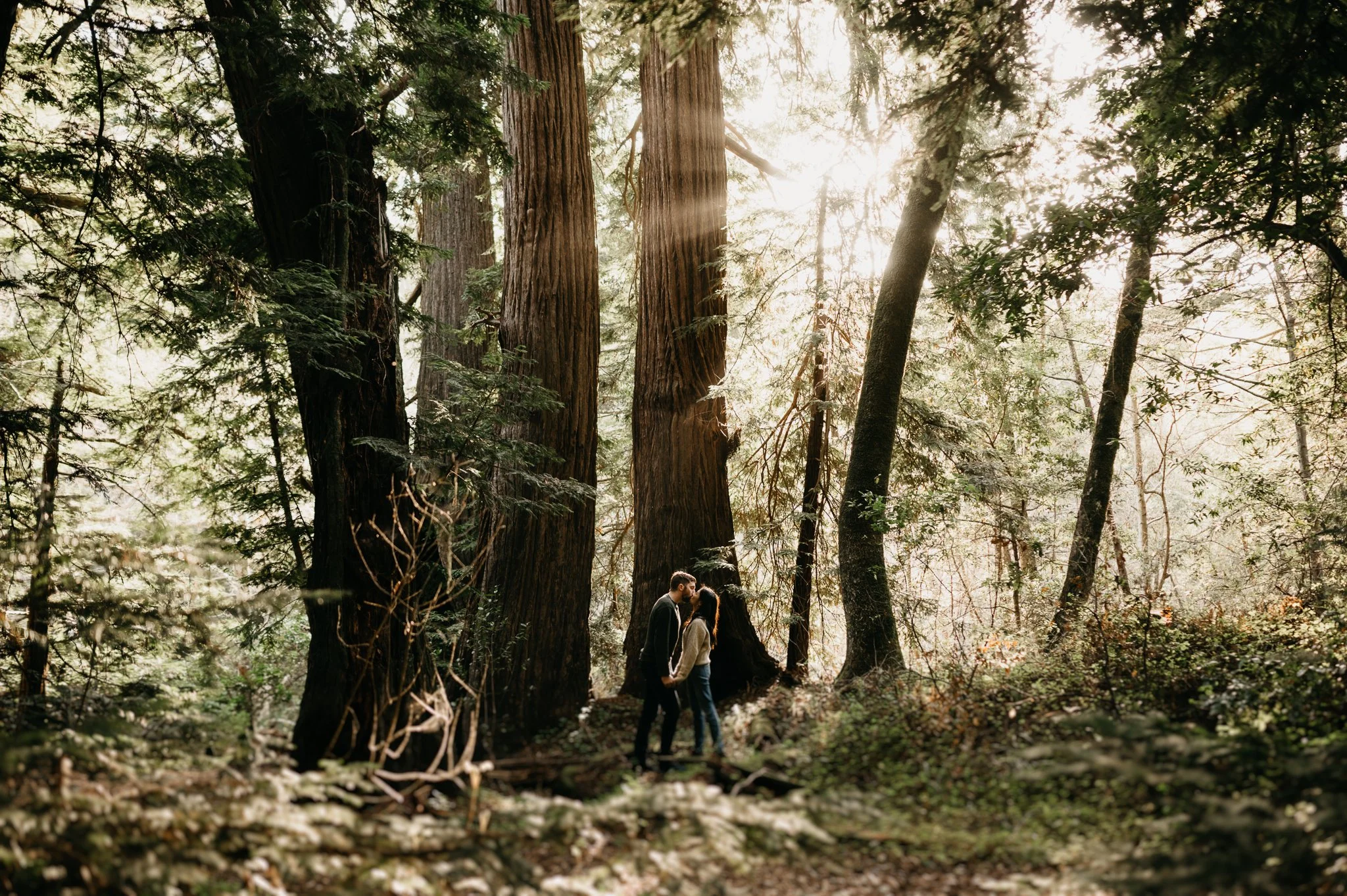 A couple stands close together in a forest with tall trees, illuminated by sunlight filtering through the canopy.