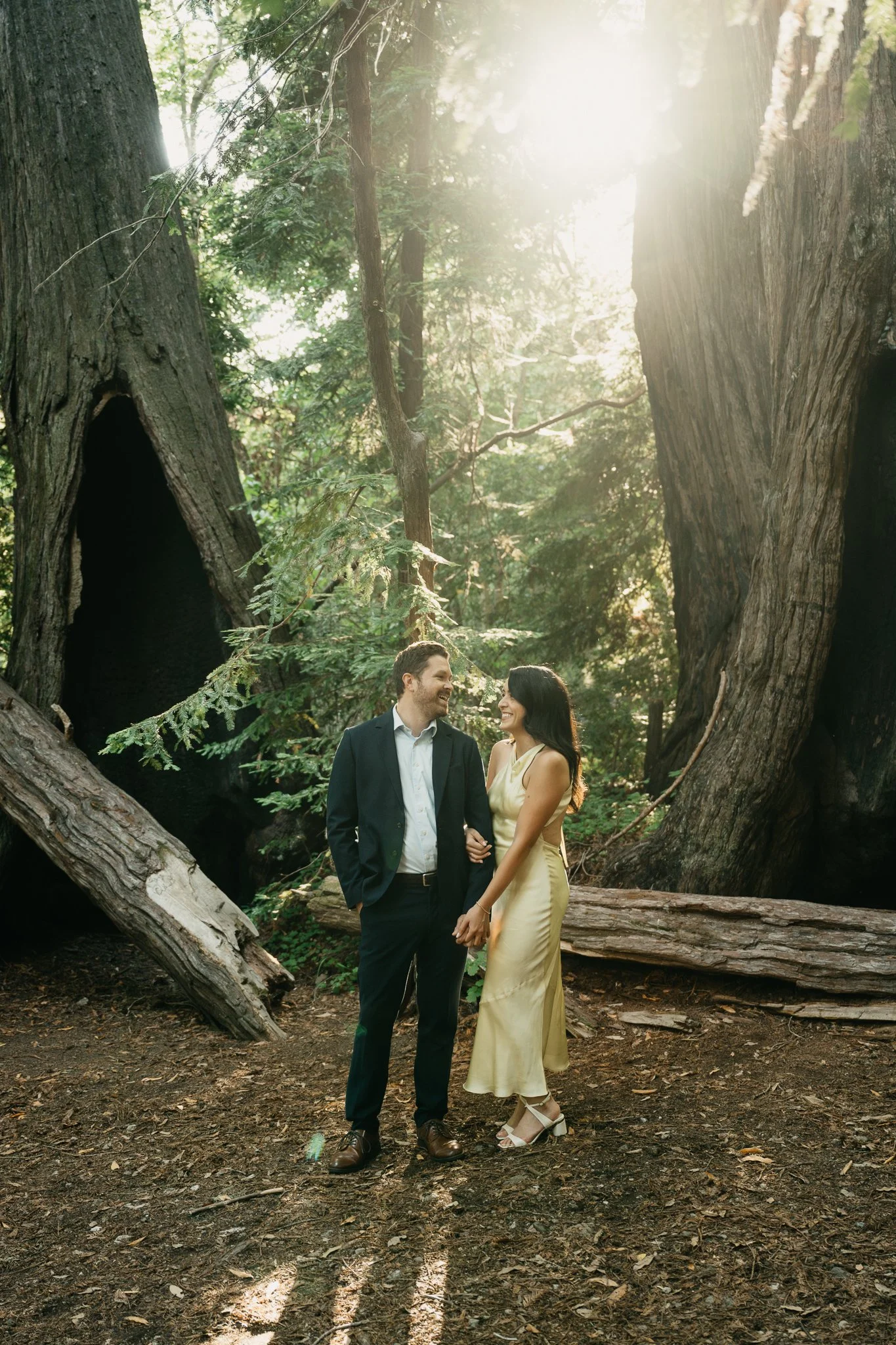 A couple stands hand in hand in a forest, smiling and looking at each other, surrounded by large trees and sunlight filtering through the leaves.