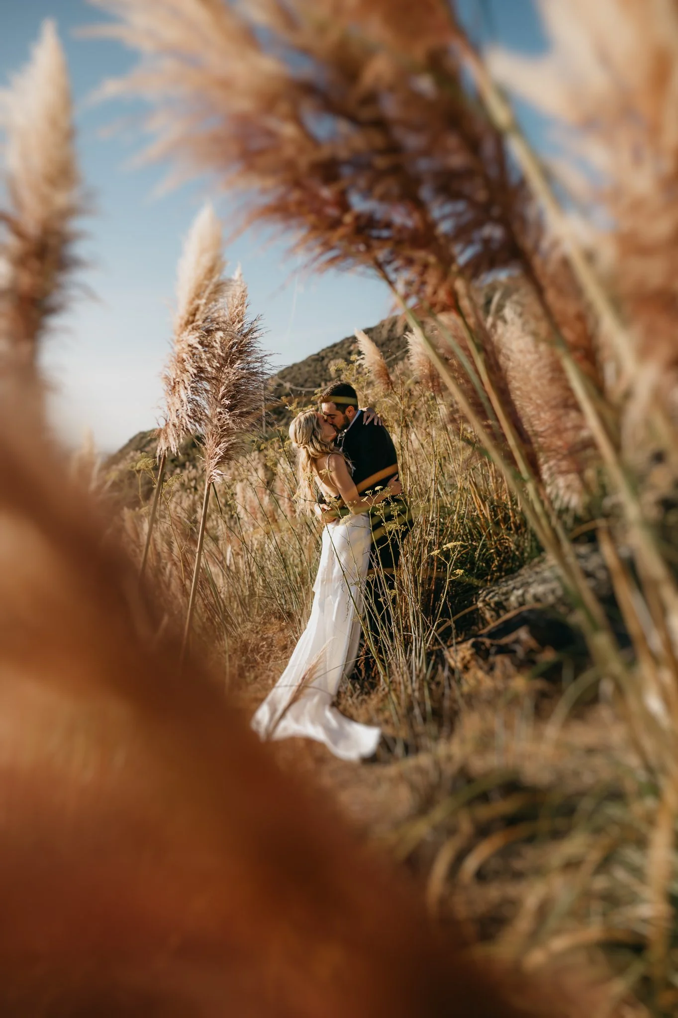 A couple in wedding attire sharing a kiss in a field of tall grasses with mountains in the background, viewed through some of the grasses.