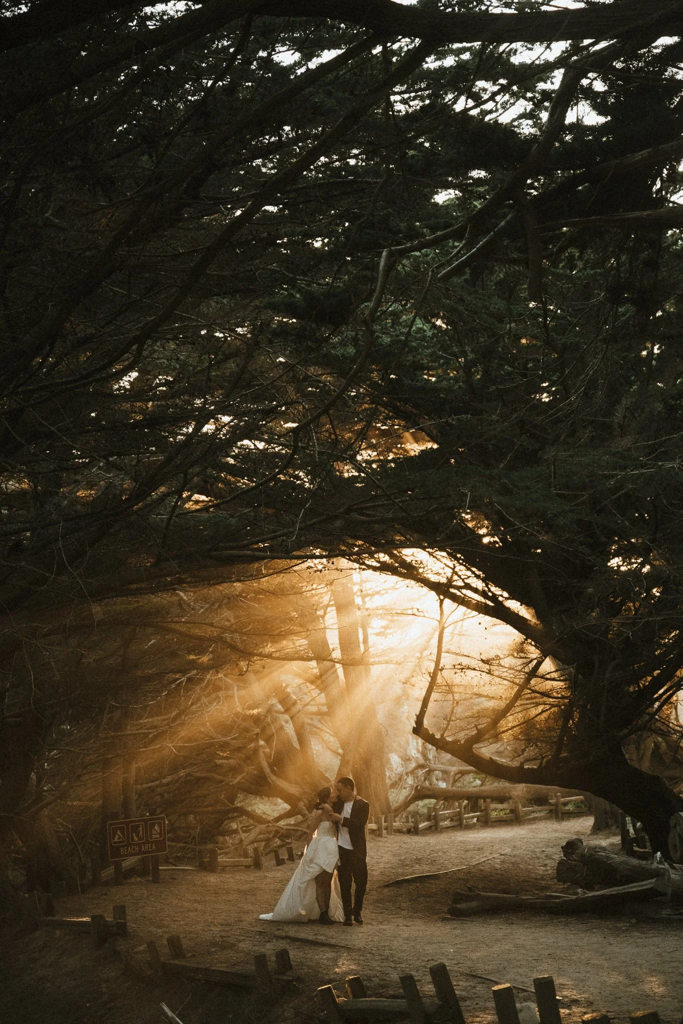 A couple dressed in wedding attire dancing on a sandy beach at sunset, with large twisted trees and sun rays in the background.