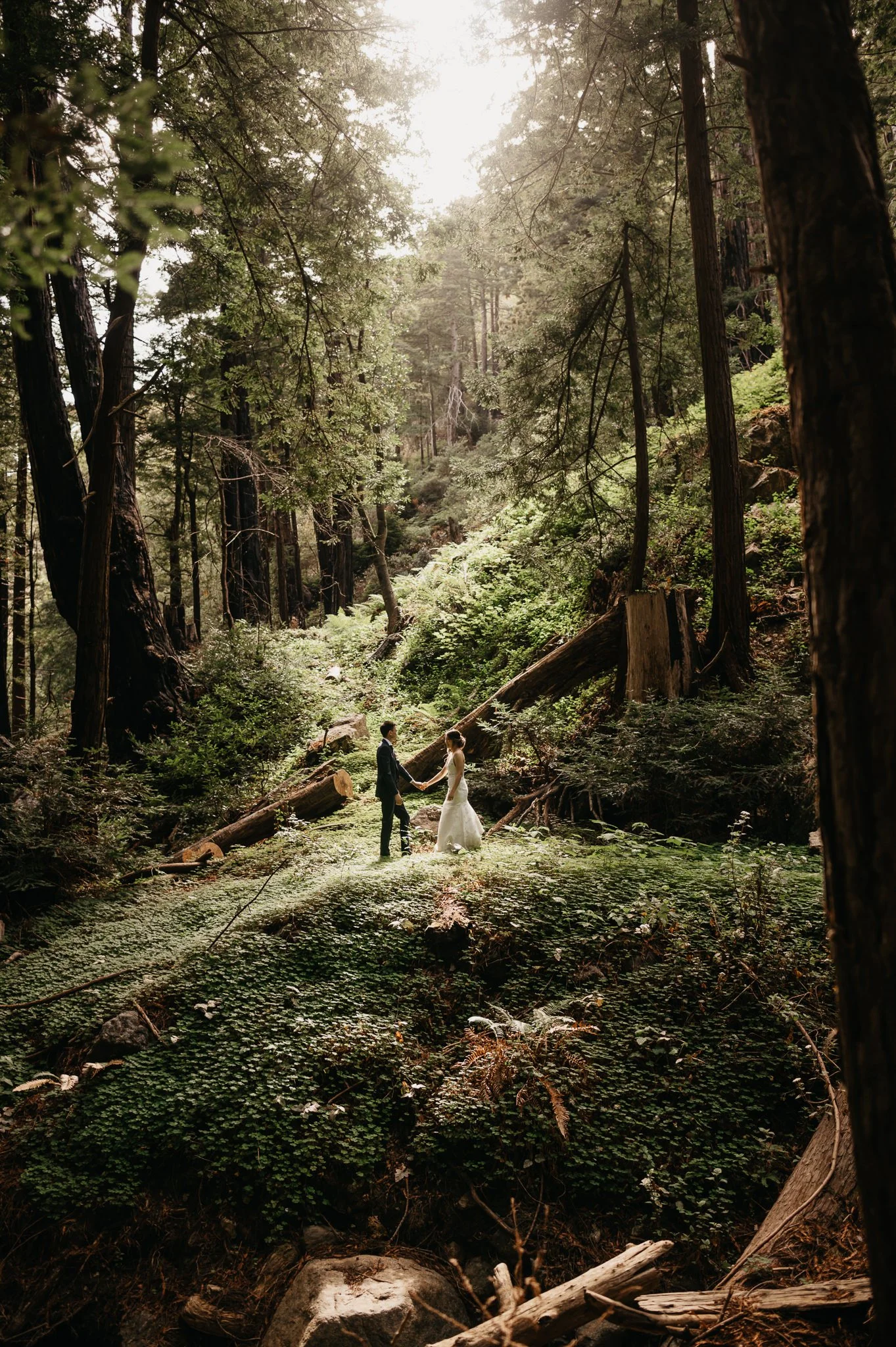 A couple in wedding attire holding hands and standing in a lush, sunlit forest surrounded by tall trees and greenery.