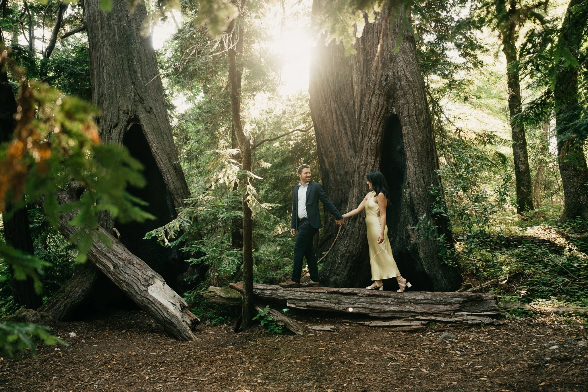 A couple holding hands on a fallen log in a dense forest with giant trees and sunlight filtering through the leaves.