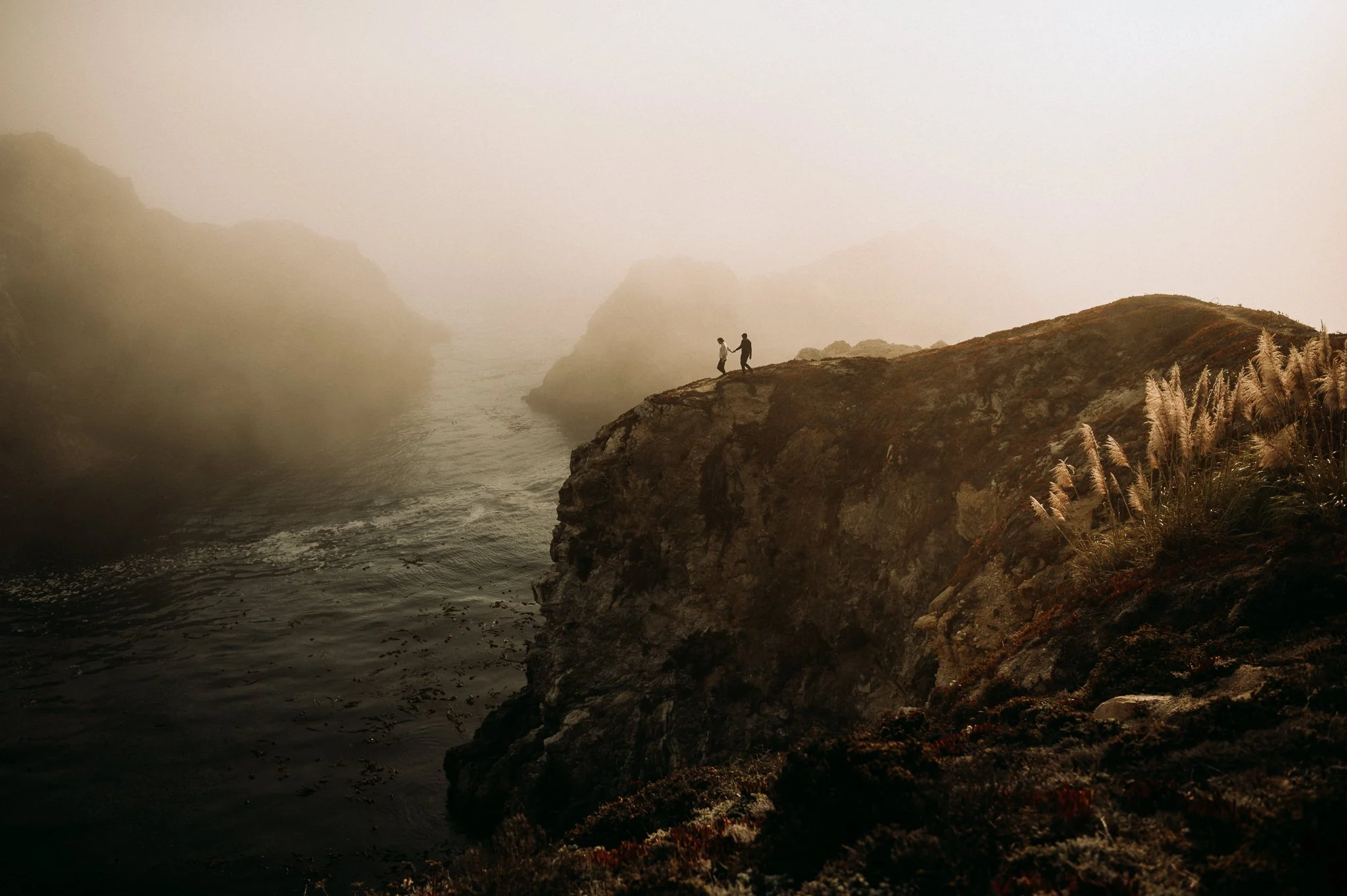 Two people holding hands standing on a rocky cliff overlooking a foggy ocean with tall grasses in the foreground.