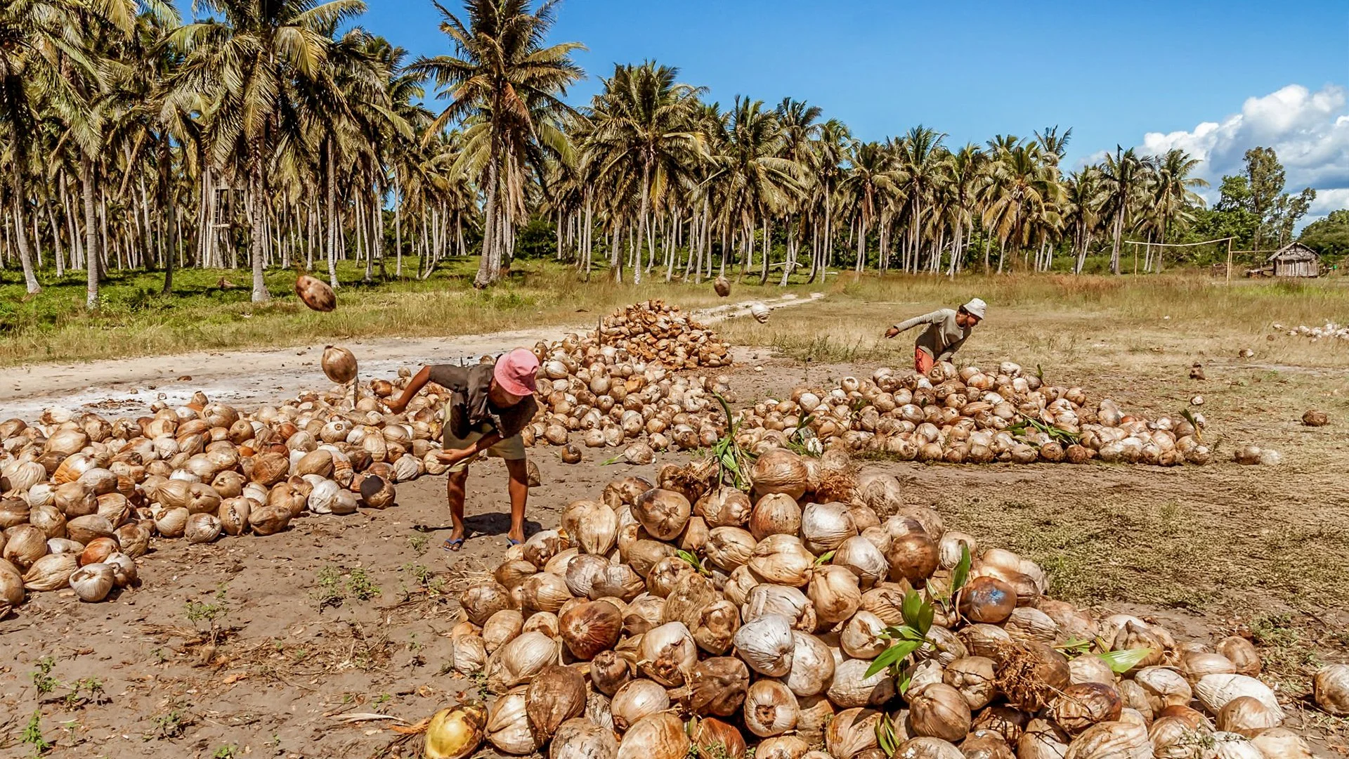 US Tariff Exemption Set to Boost Philippine Farmers and Agri-Exporters