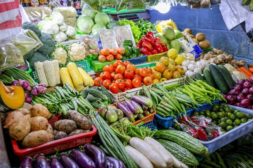 The White Revolution: DA Earmarks P300M to End the "Boom-and-Bust" Vegetable Cycle