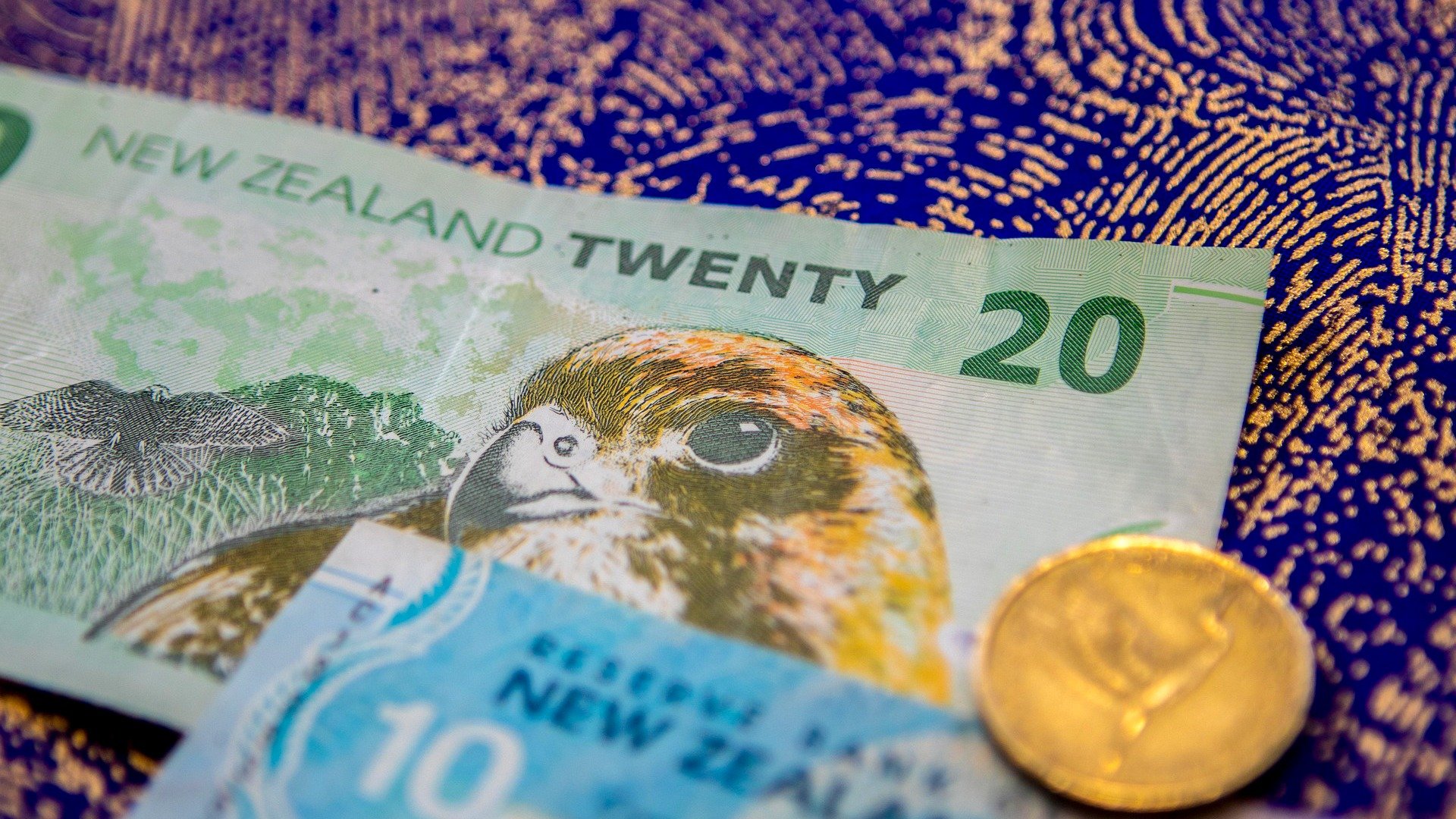 RBNZ Holds OCR at 2.25%: A "Steady Hand" Policy Amid the Nascent Recovery