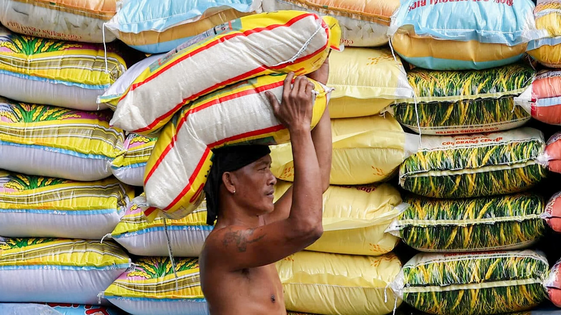 The P43 Pivot: Why Falling Rice Prices are Sending a Signal to Global Markets