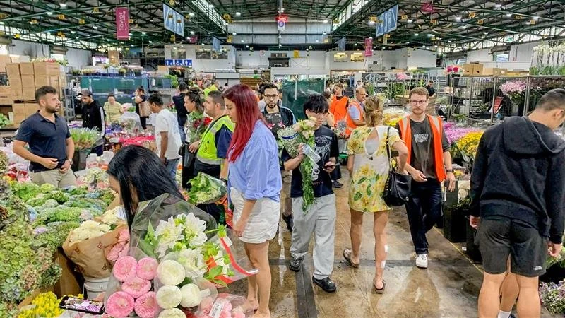 Resurgent Inflation: Australia’s CPI Jump Puts RBA Rate Hikes Back on the Table