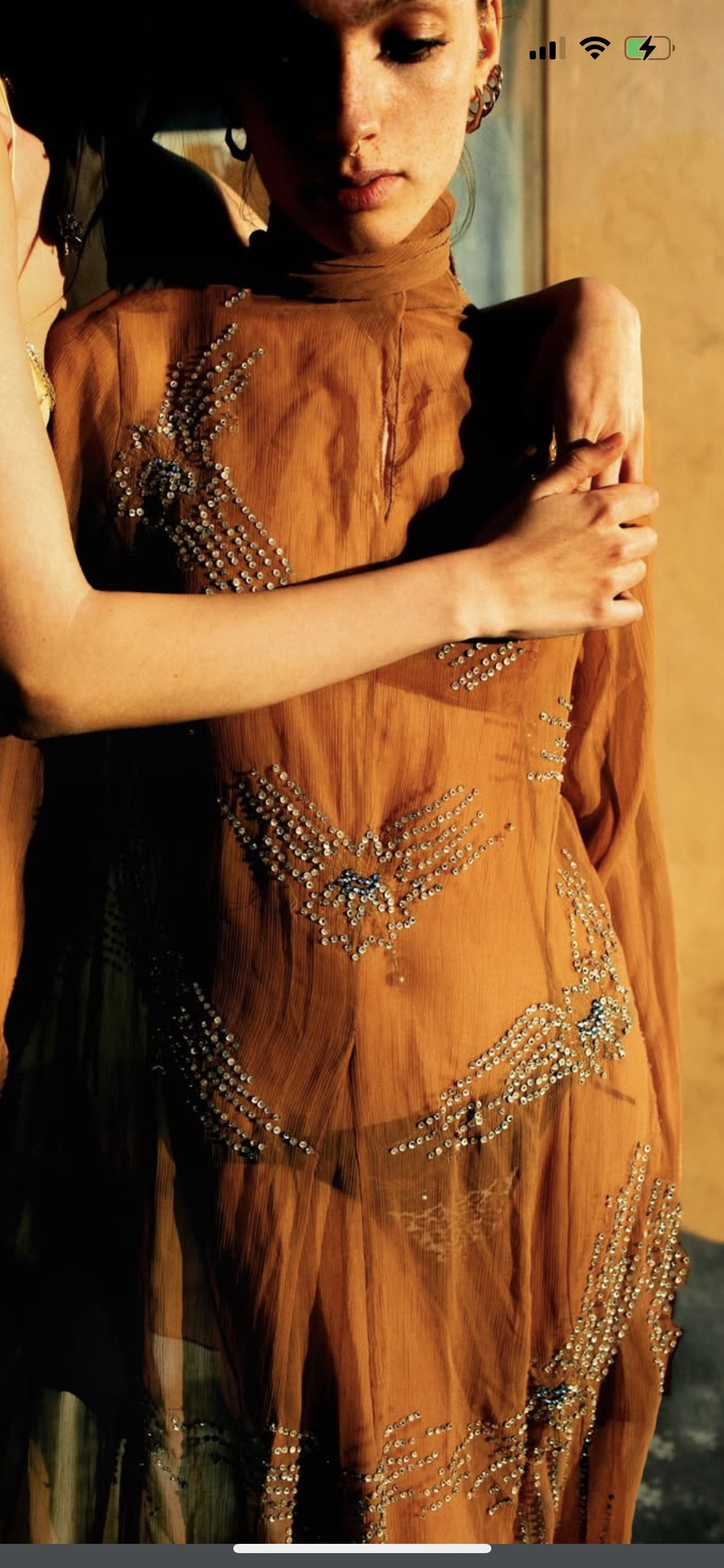 Sheer Silk Dress
