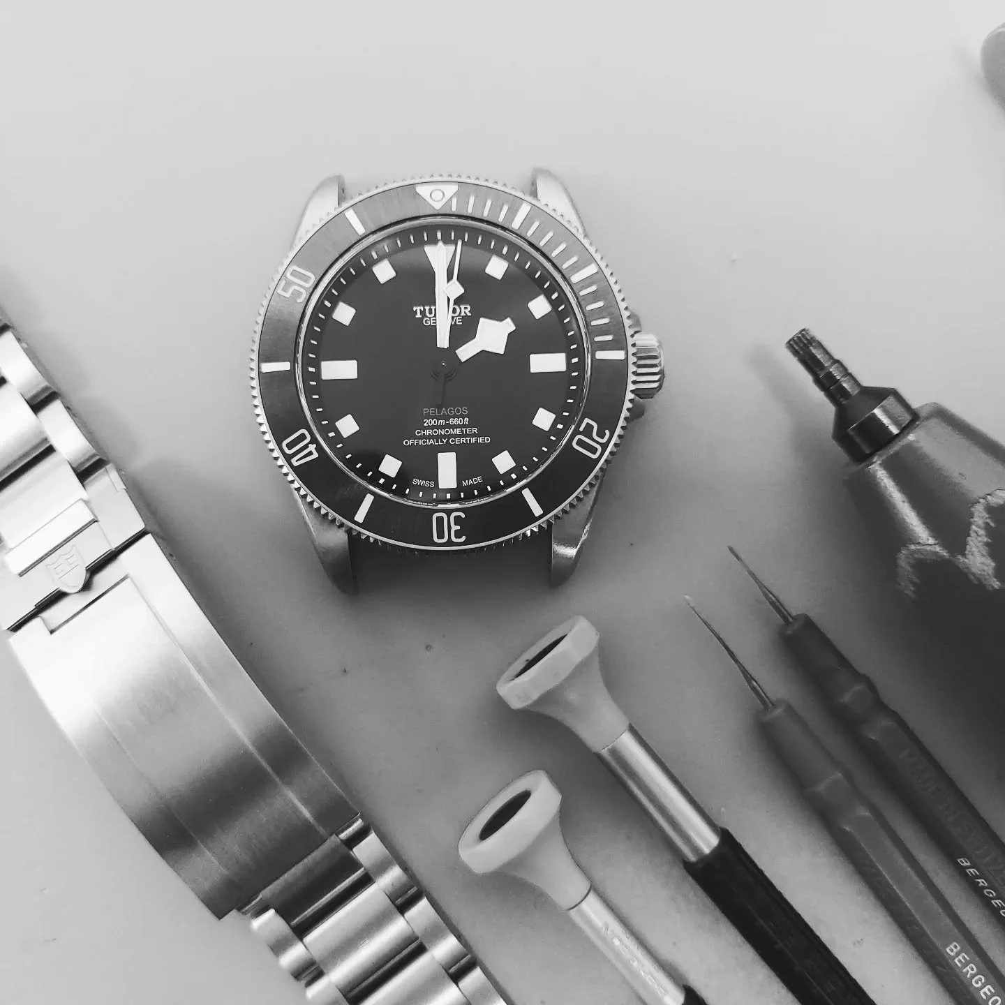 What a busy January! @lovecedarfarm

- The shop continues to get busier
- Our new webpage is being built
- A new bespoke watch counter is being built
- New social videos filmed 
- Starting Pre-owned watch sales
- New member of staff (we now have 3 wa