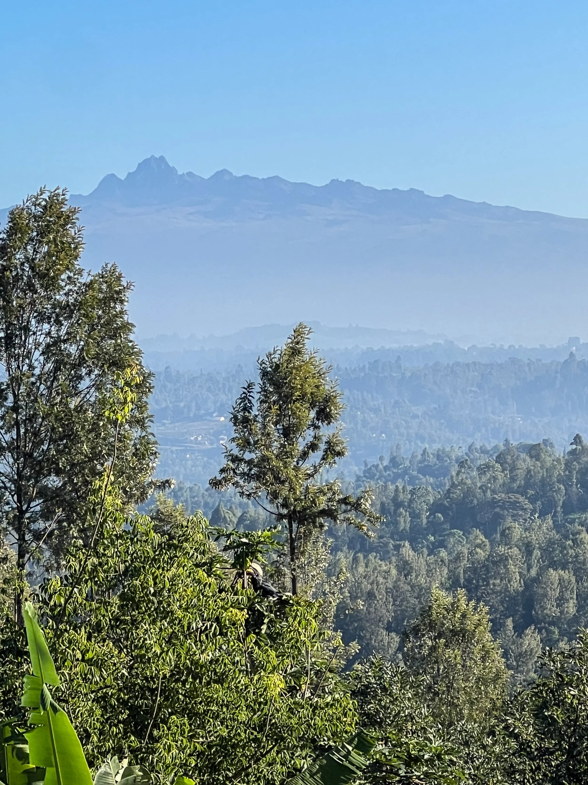 Tabitha, a local yoga teacher in Emsworth, showing an image of Mt kenya where she grew up