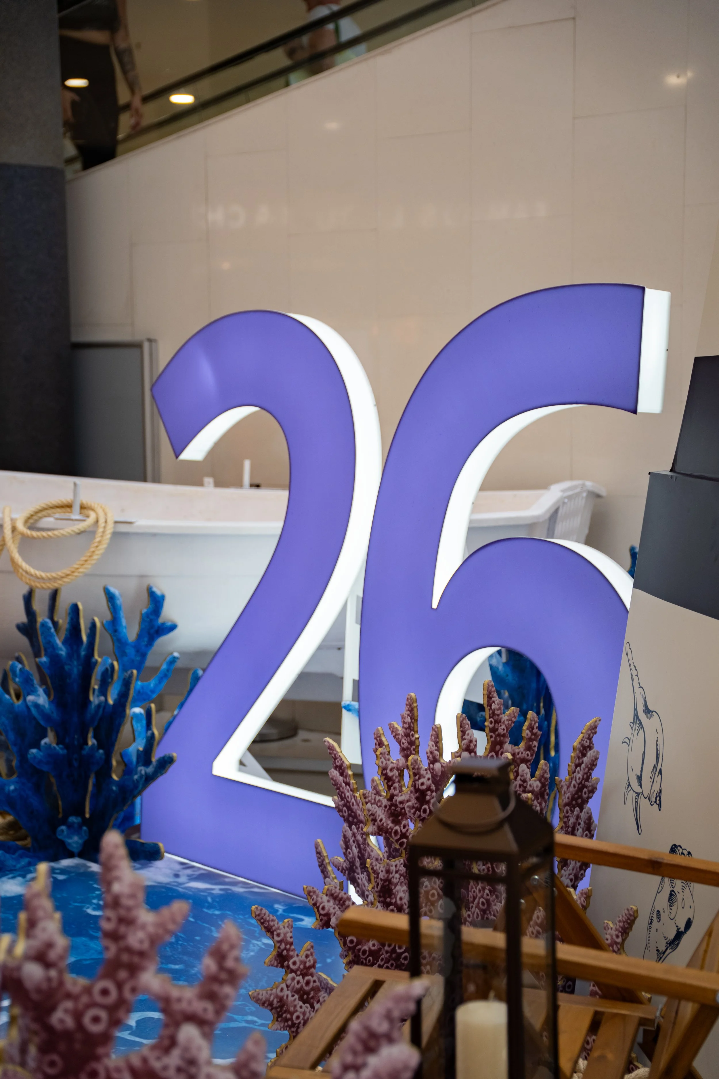 DSC06508.jpg