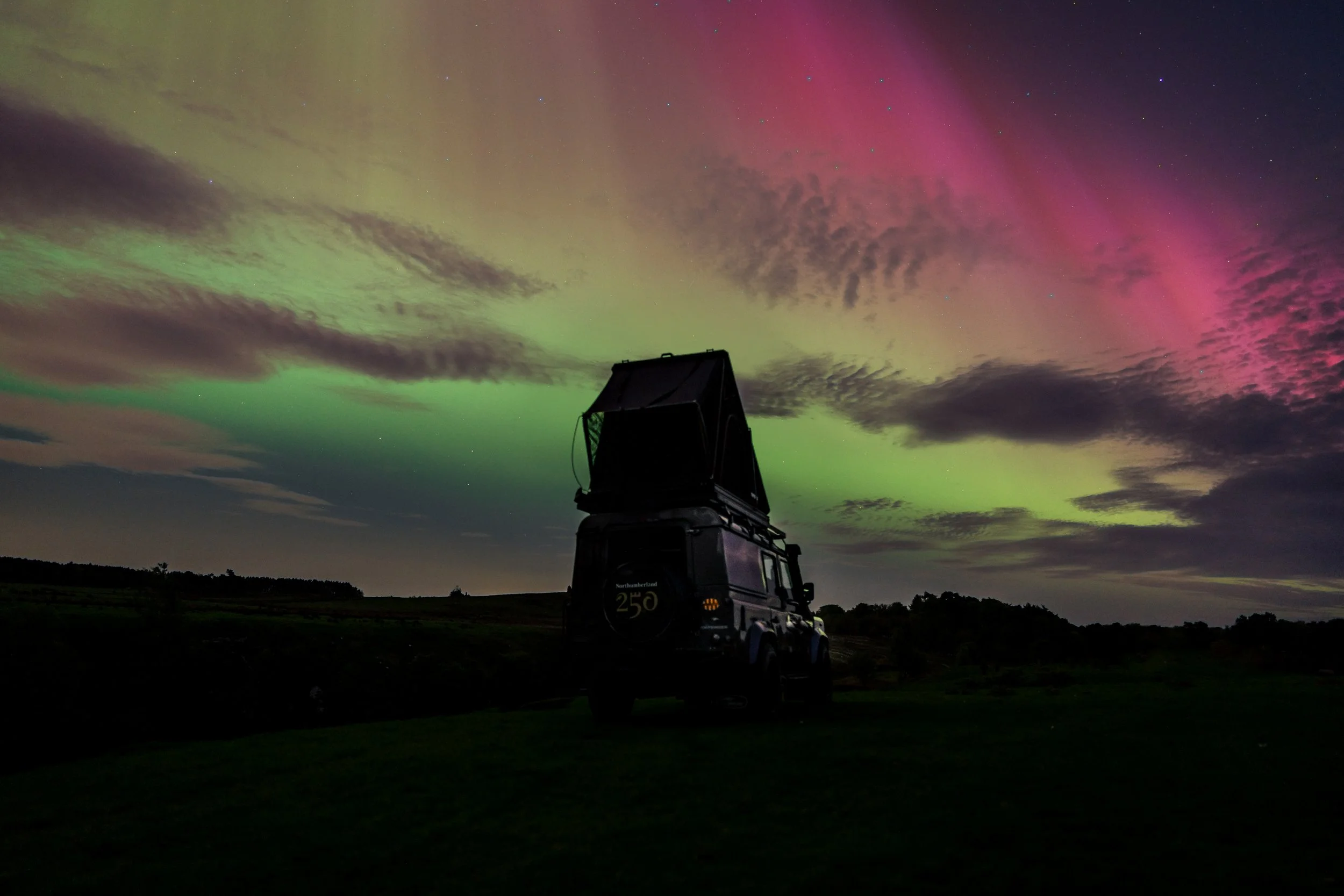 Nland Landy Aurora Rear.jpg