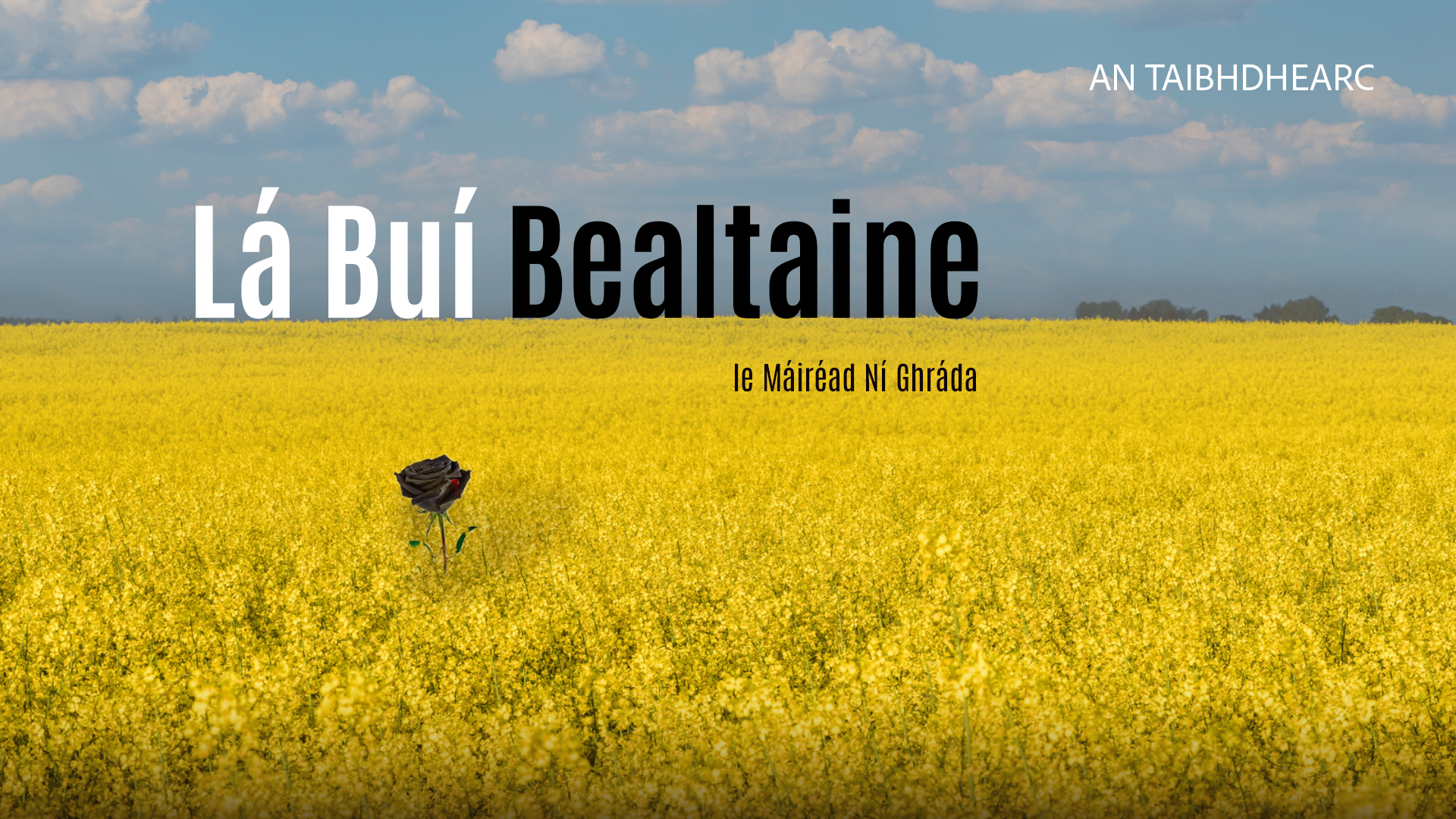 An Taibhdhearc le camchuairt meánscoileanna Mhaigh Eo le Lá Buí Bealtaine