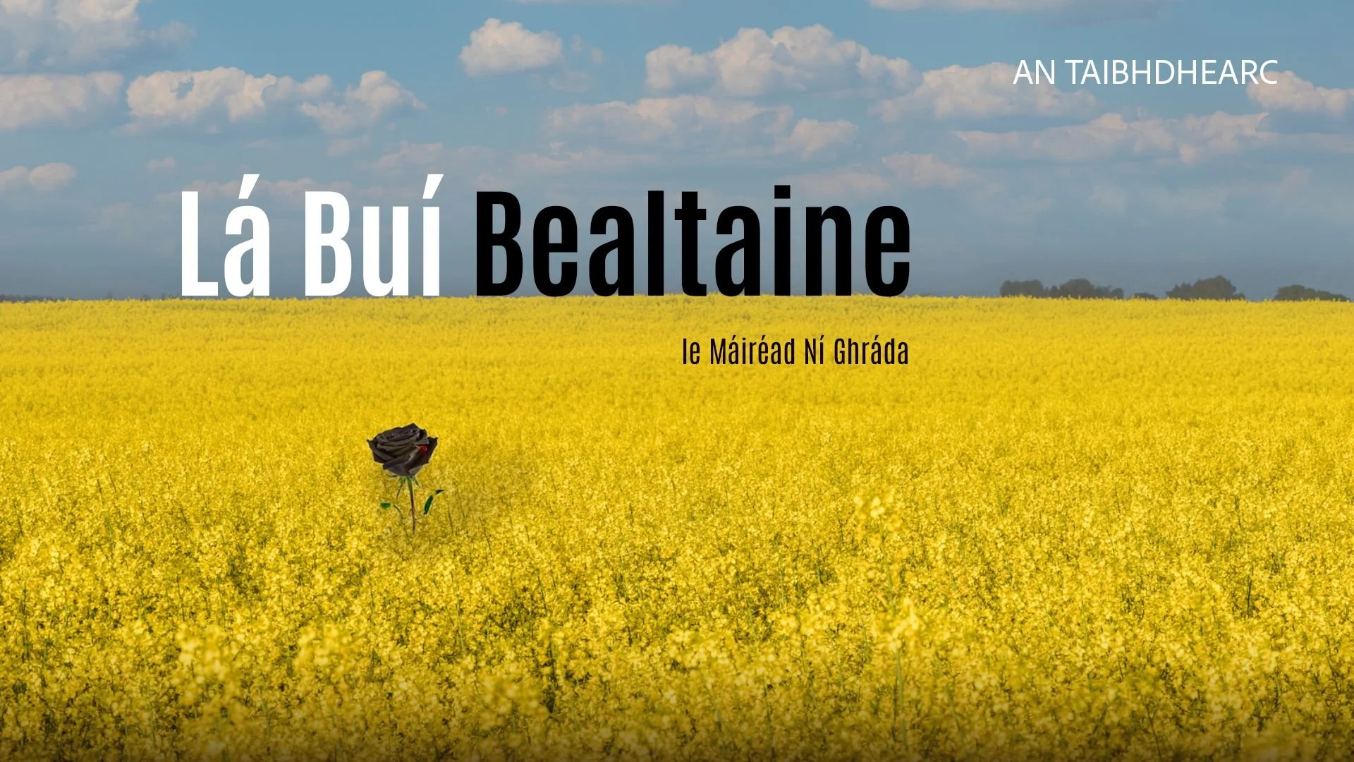Lá Buí Bealtaine