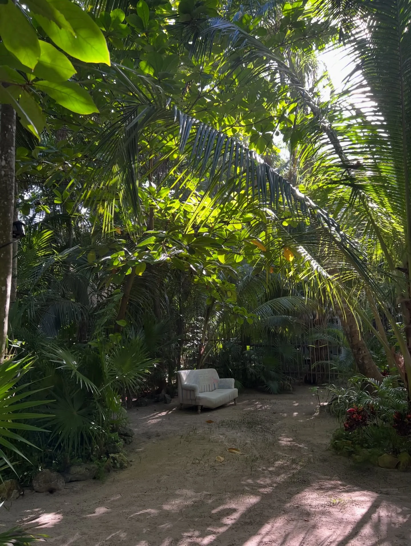 Just some moments here and there from my cam to here