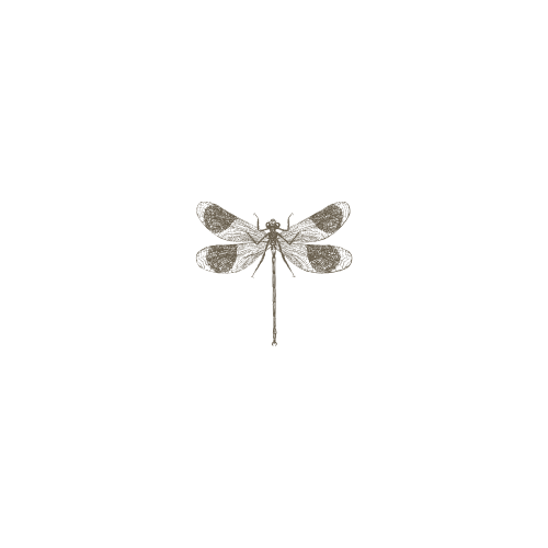 16.png