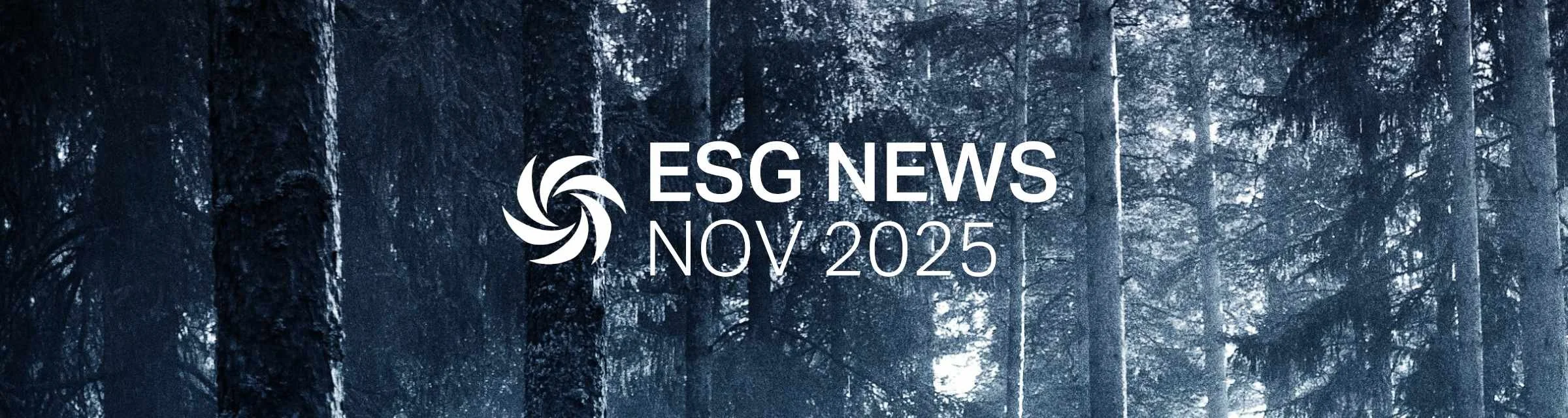 November 2025 Newsletter 