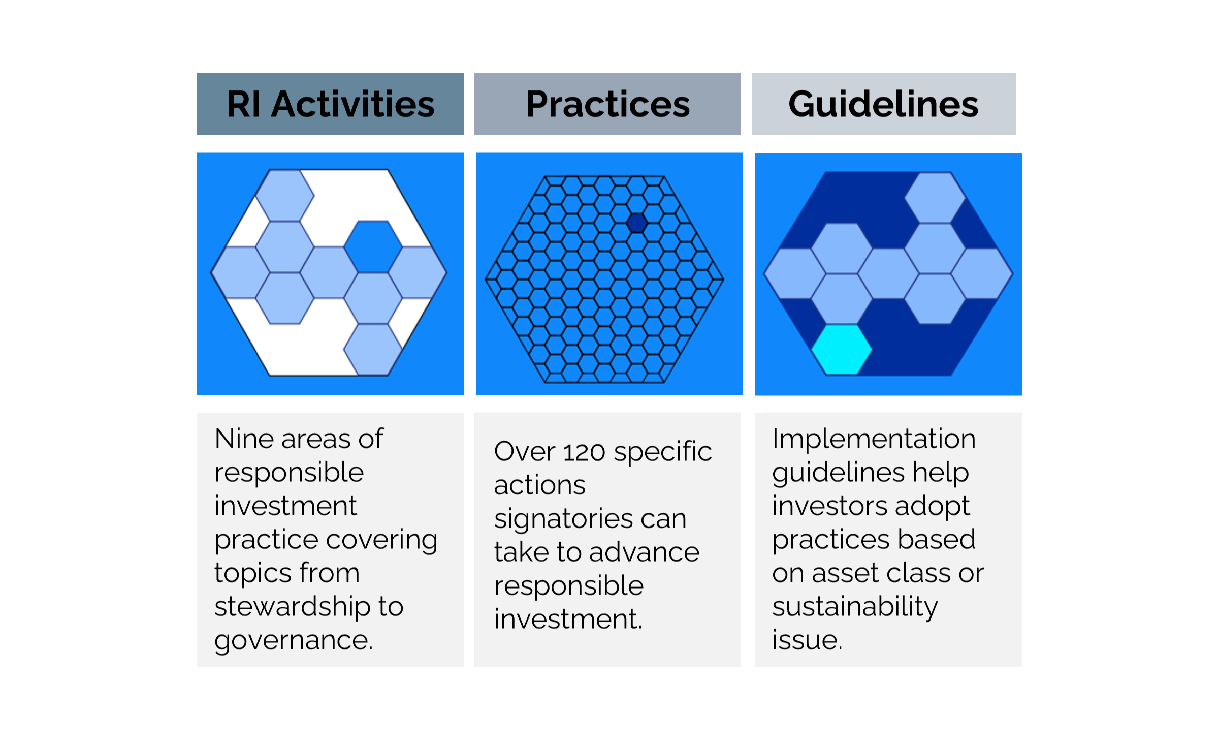 3 columns labelled RI Activities, Practices & Guidelines. Under the headings are icons of hexagons, decreasing in size with granularity. Text underneath that explains the RI Activities, Practices & Guidelines as per the article.