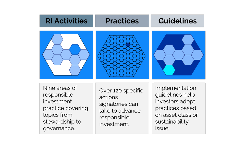 What are the PRI Pathways? | Danesmead Advisory