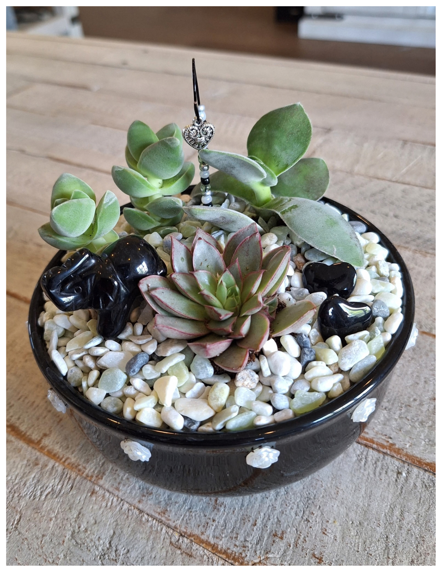 Succulent Garden Class
