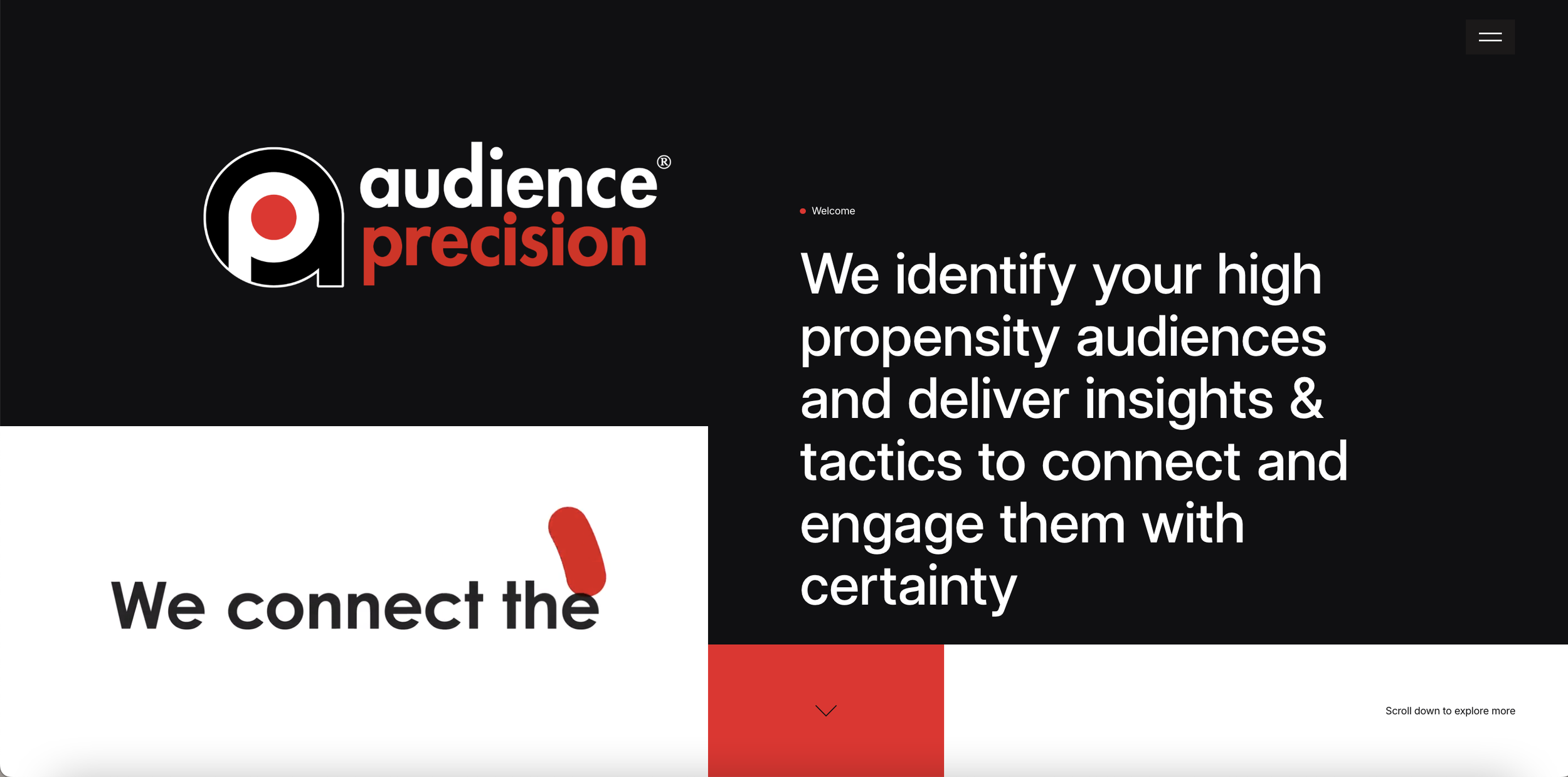 Audience Precision | Conversion Project