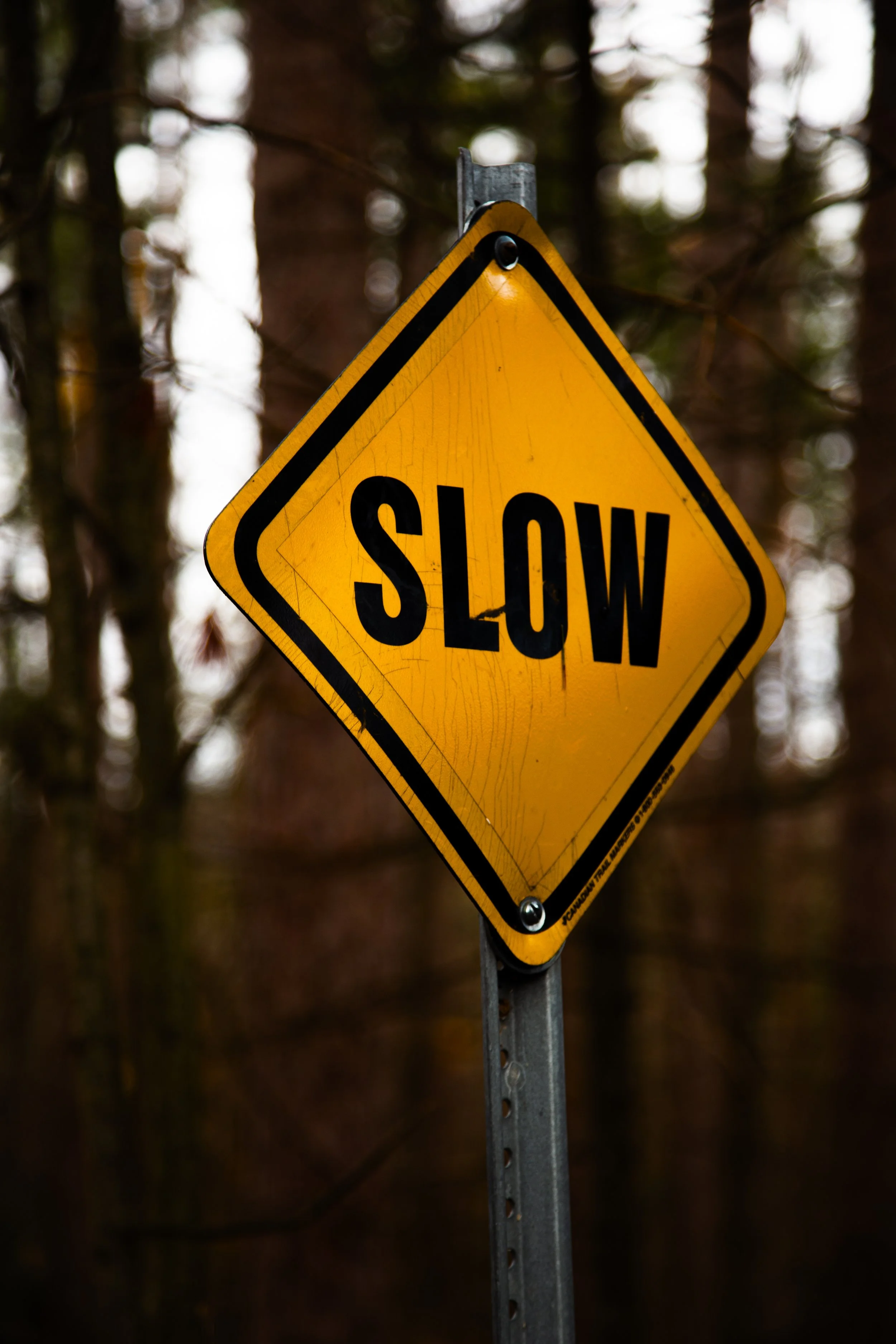 Yellow diamond-shaped traffic sign with the word 'SLOW' in black letters, mounted on a metal pole, with a wooded background.