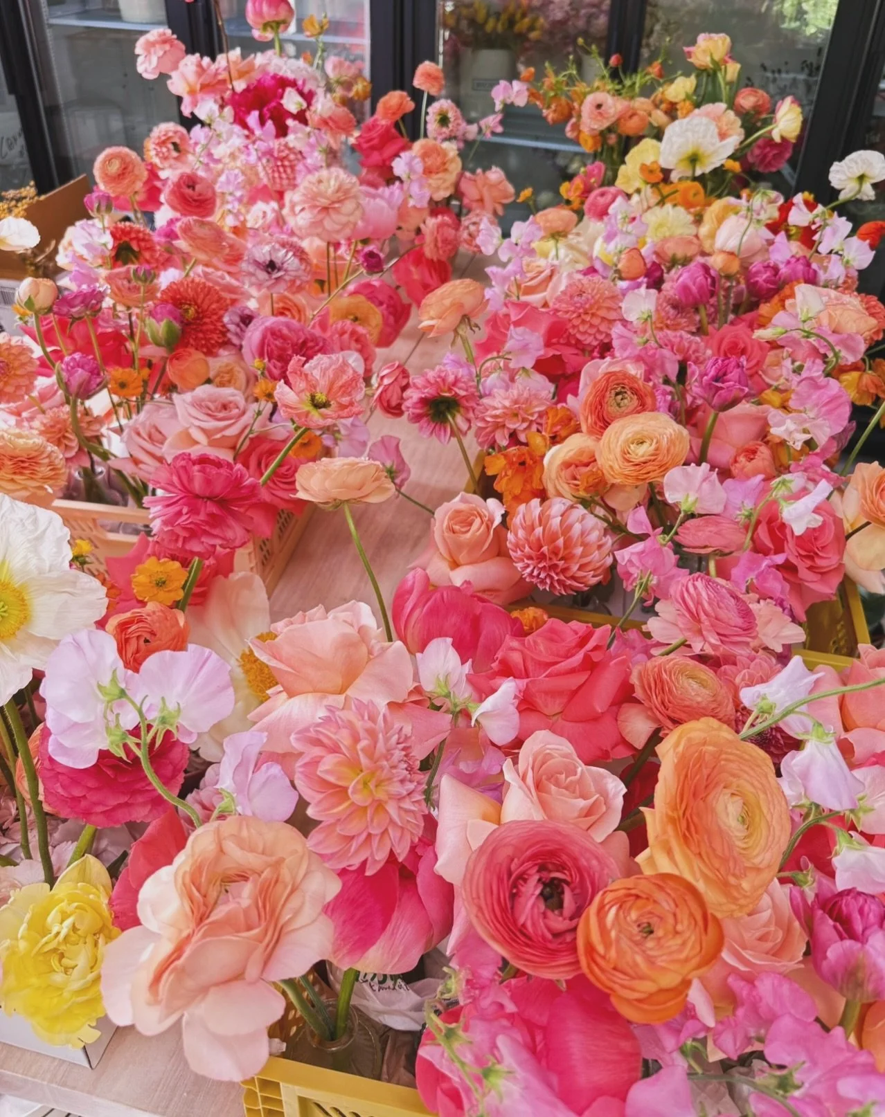 I think we all need a dose of &ldquo;happy&rdquo; this morning with this frigid weather!! 🥶. Who&rsquo;s with me?!