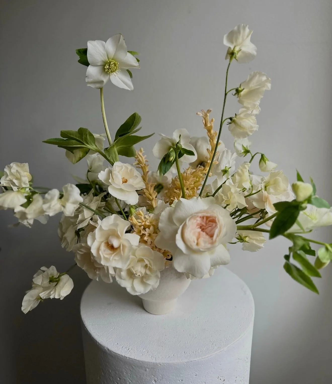 In anticipation of spring