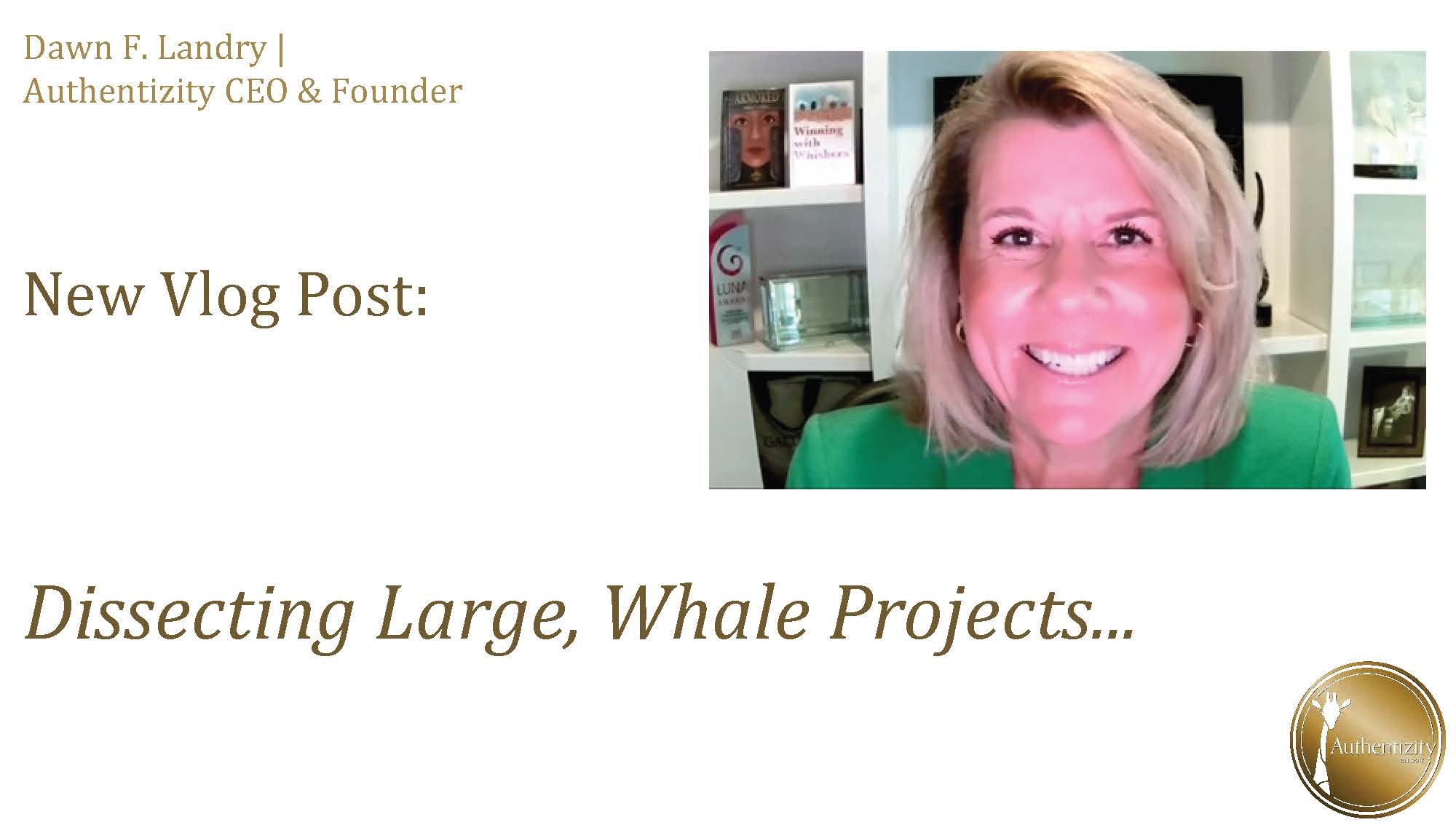 Dissecting Large, Whale Projects
