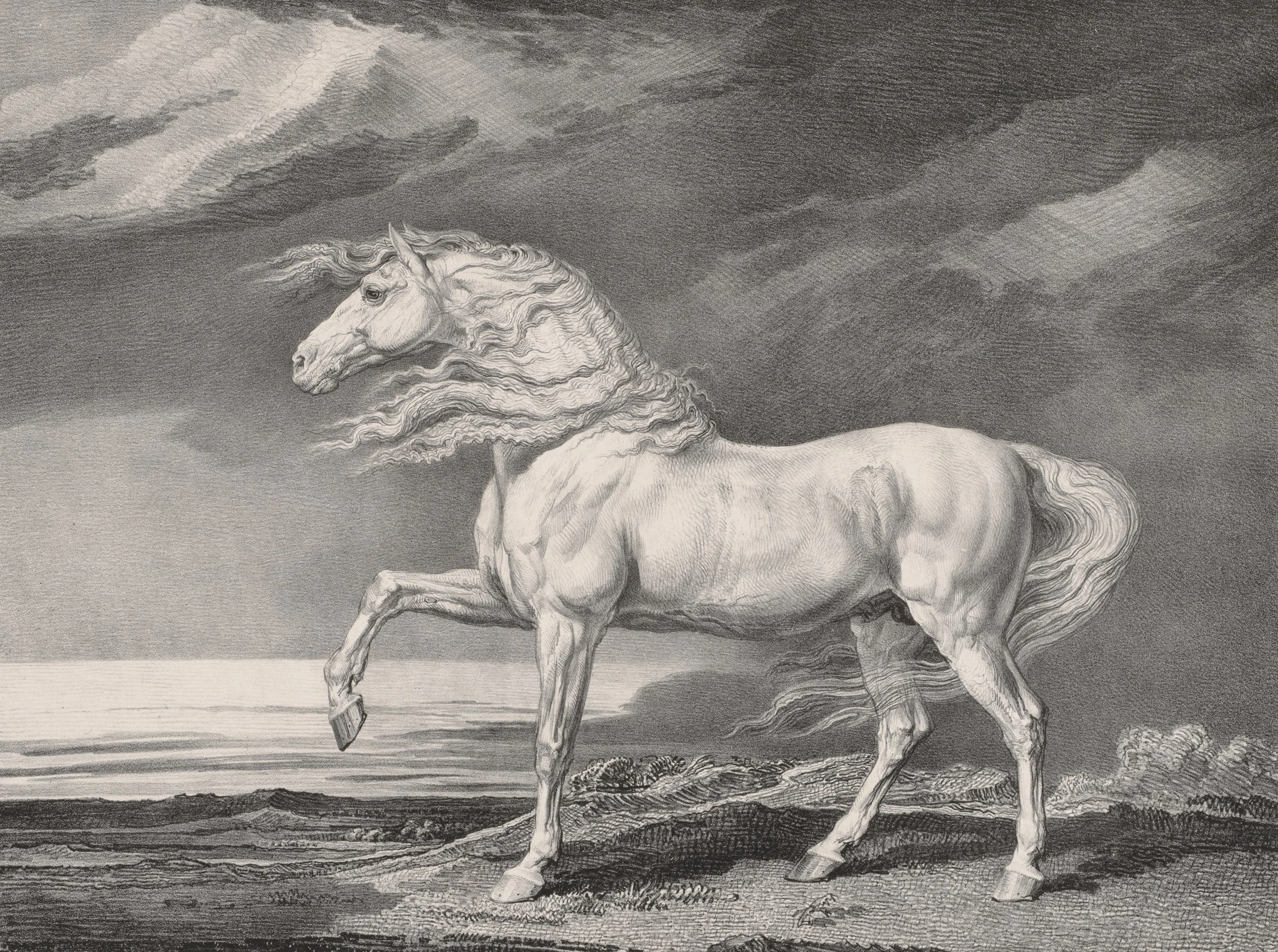 From Wood Snake to Fire Horse…