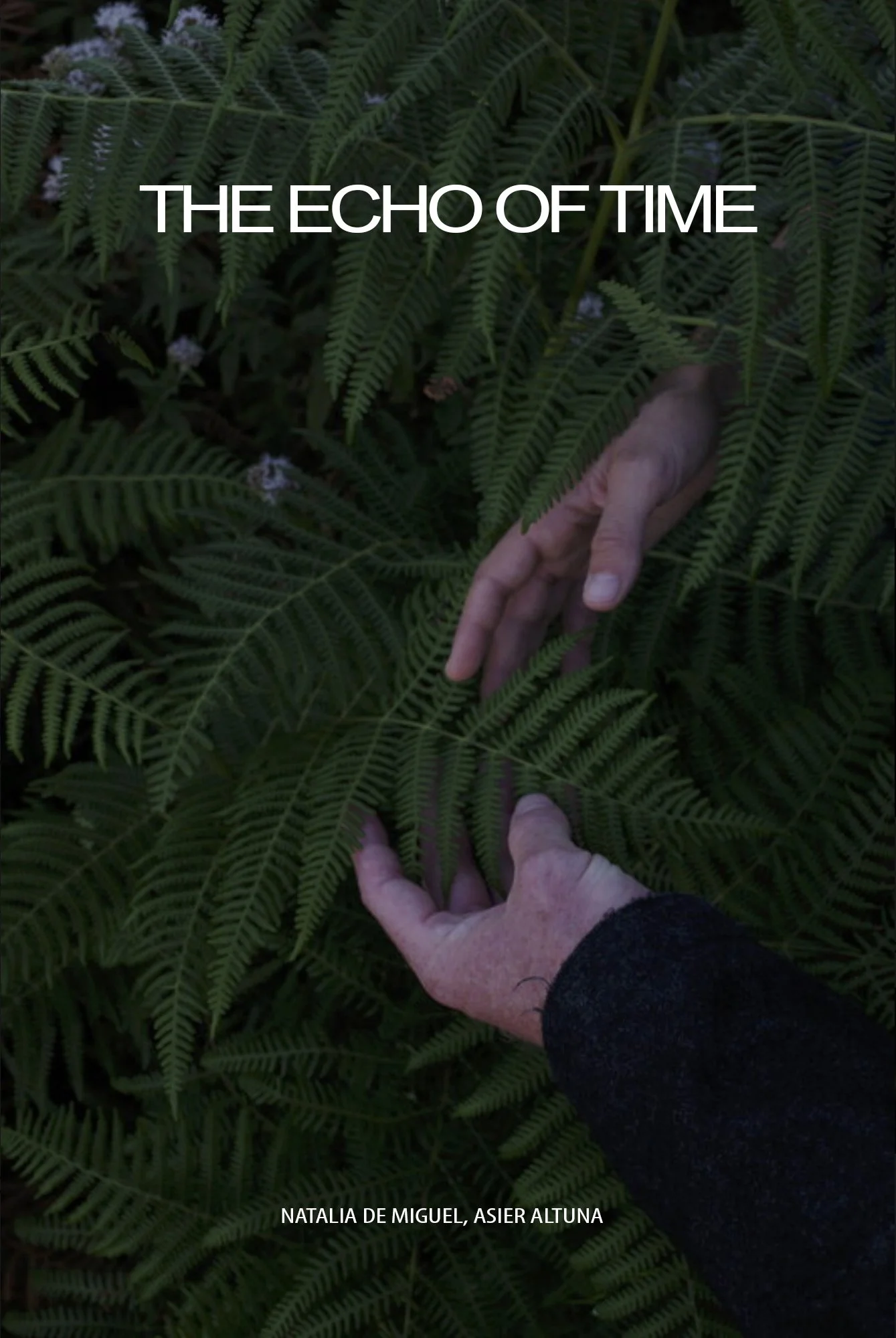THE ECHO OF TIME.jpg