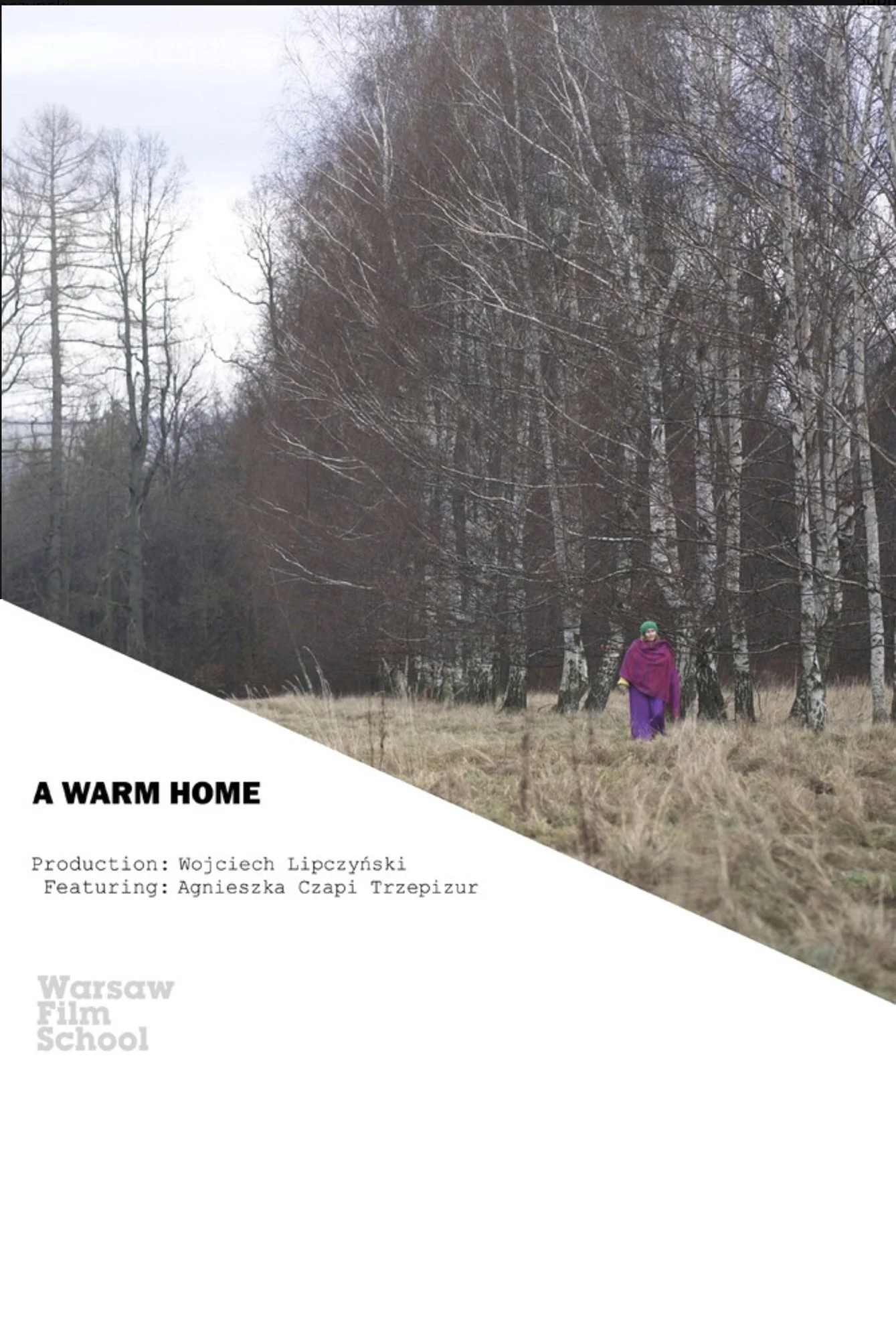 A Warm Home.jpg