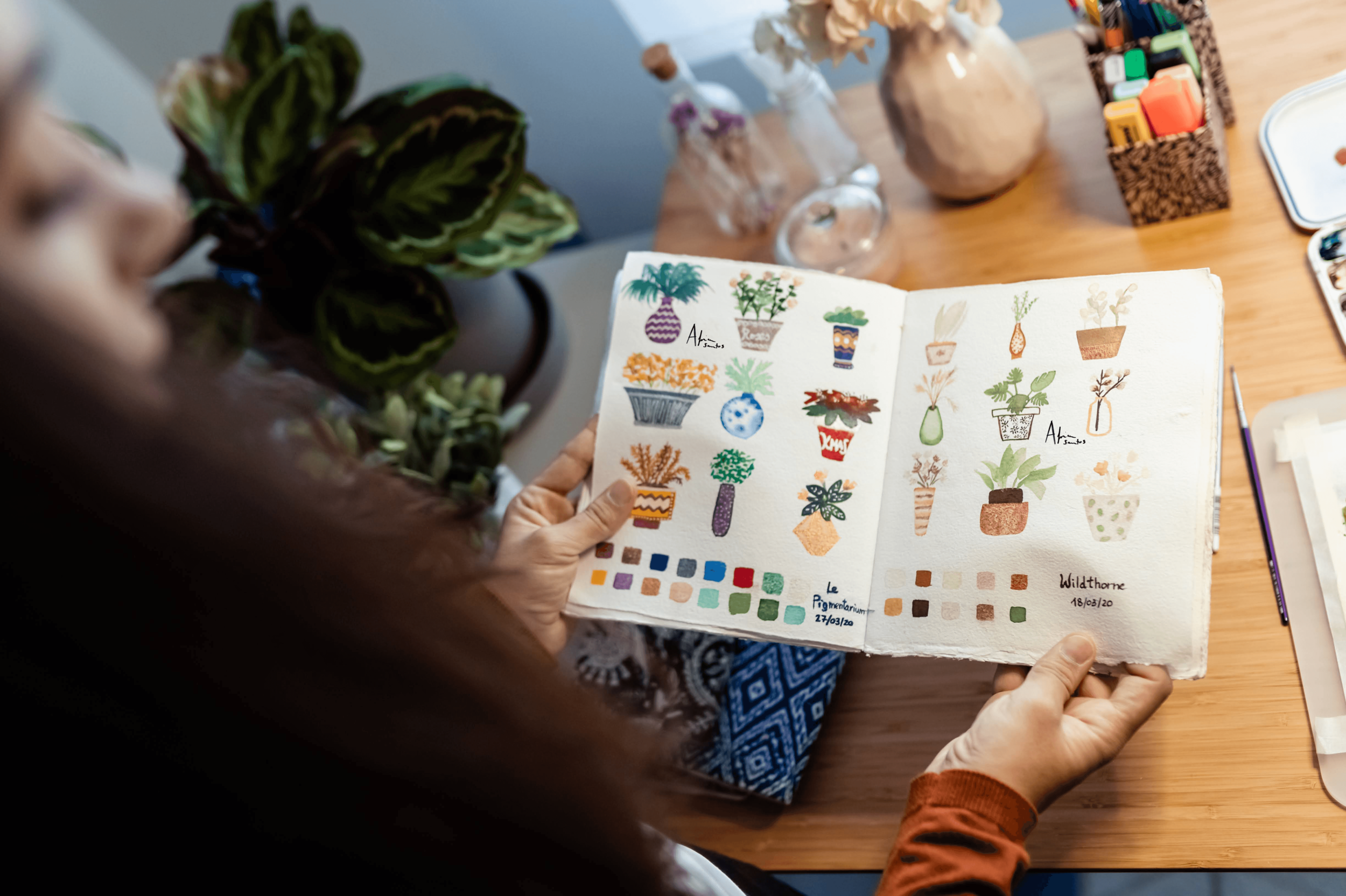 PlantByPalette12
