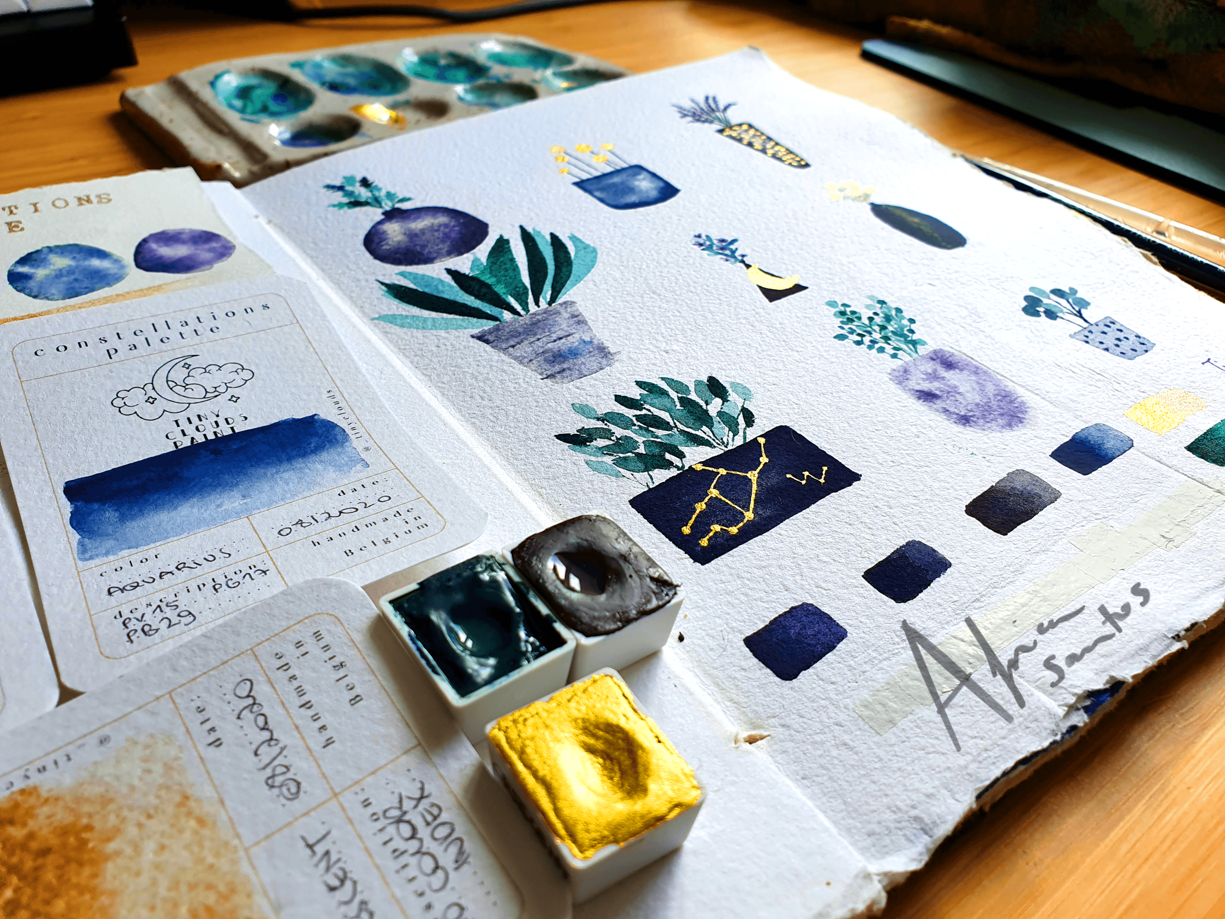 PlantByPalette1