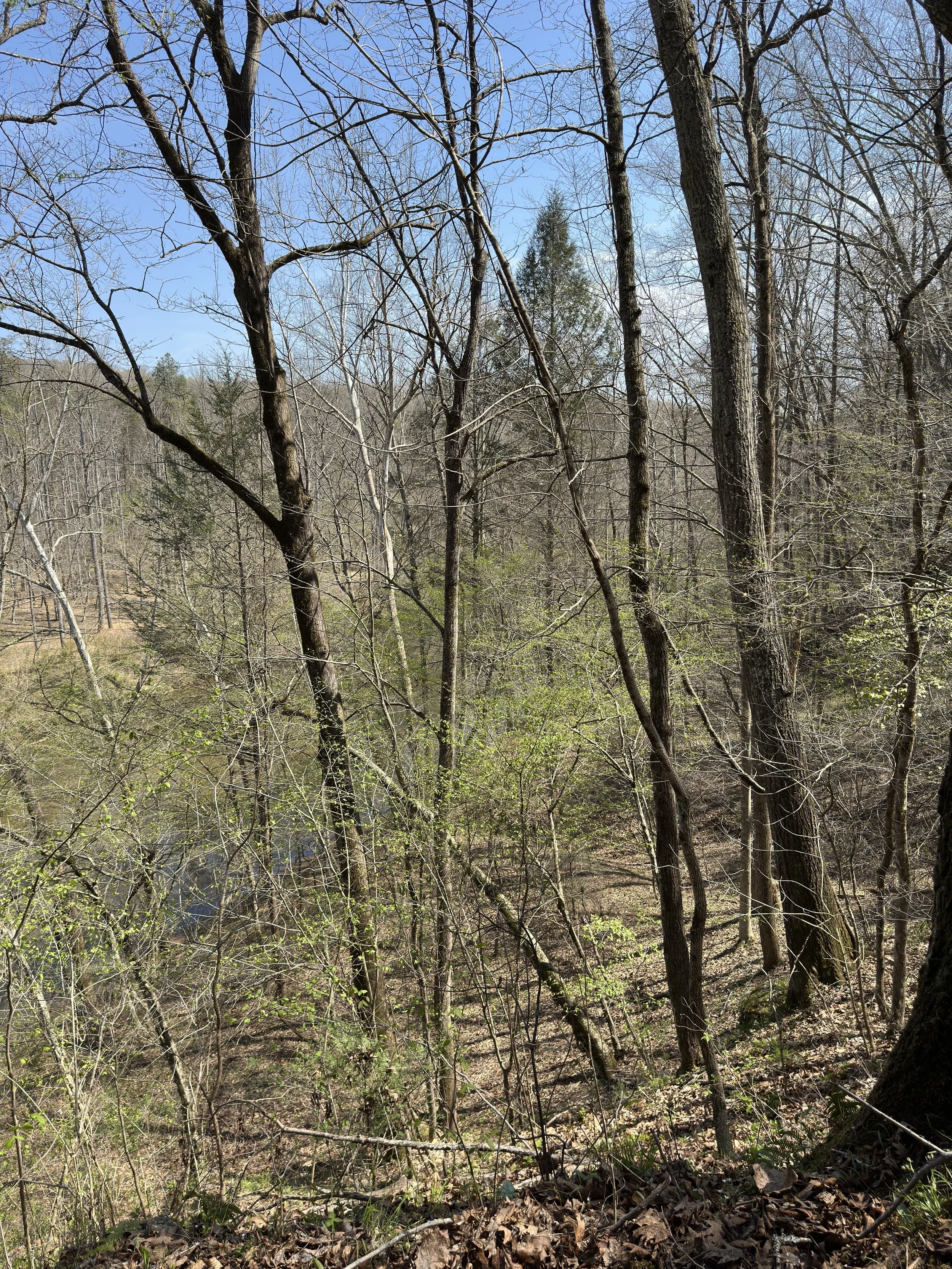 IMG_7129.JPG
