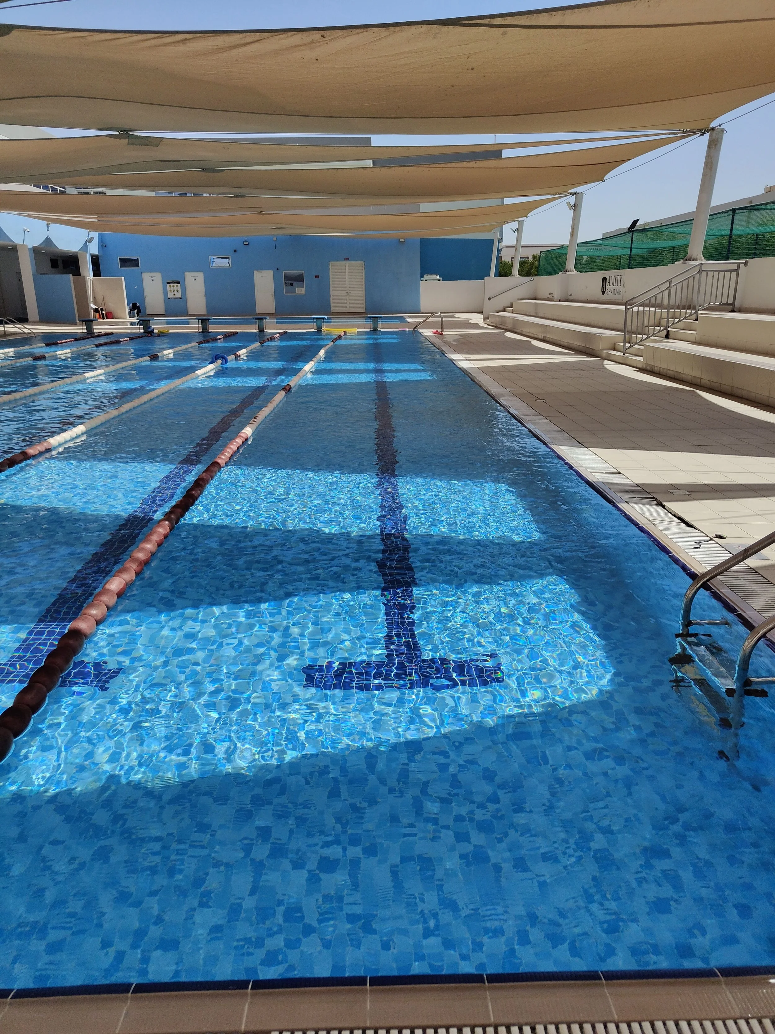 Adult Swimming Classes in Singapore for Beginners and Technique Improvement